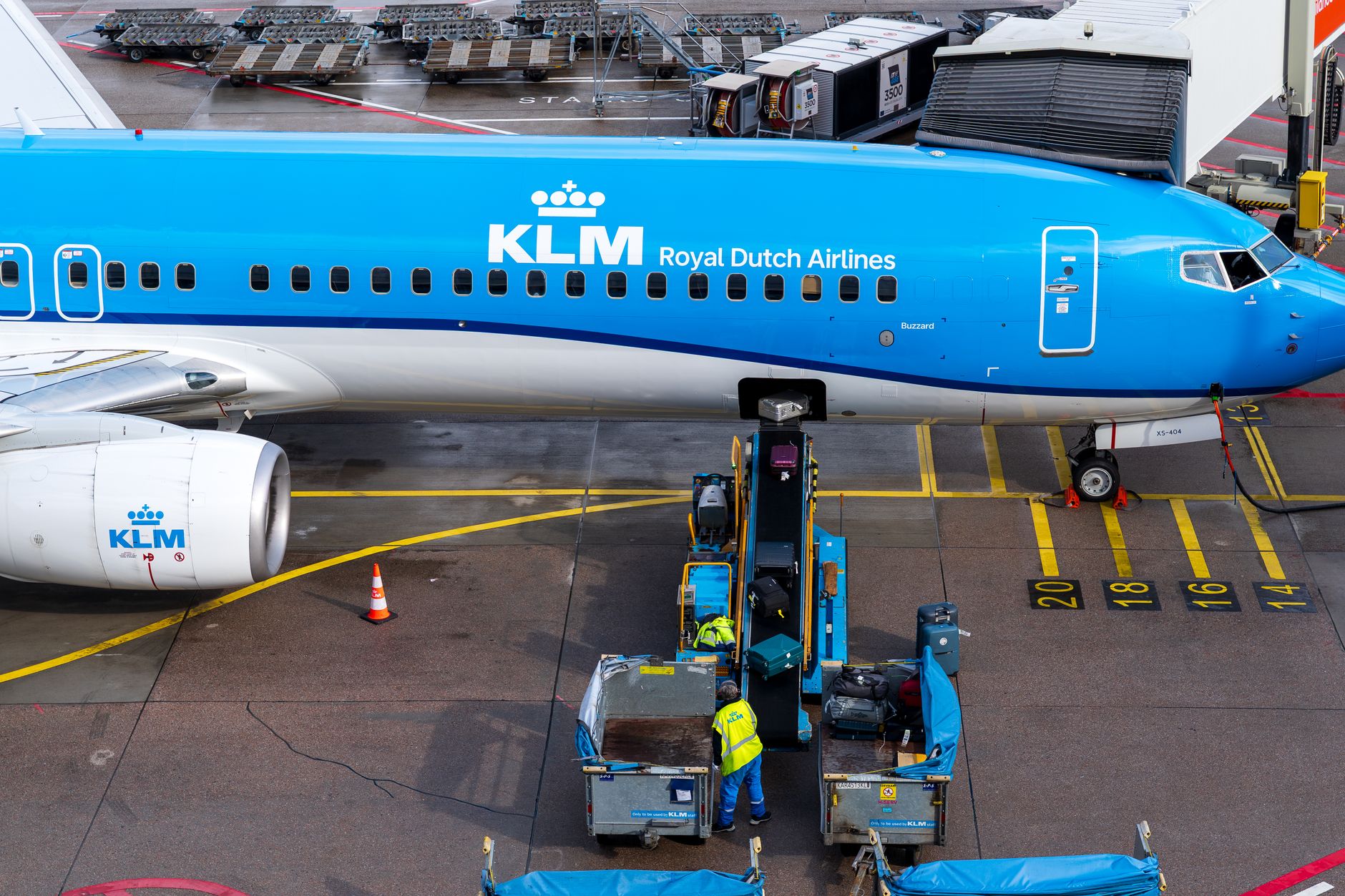 Pet Shipping: Cabin vs Cargo Relocation Rules for 2026