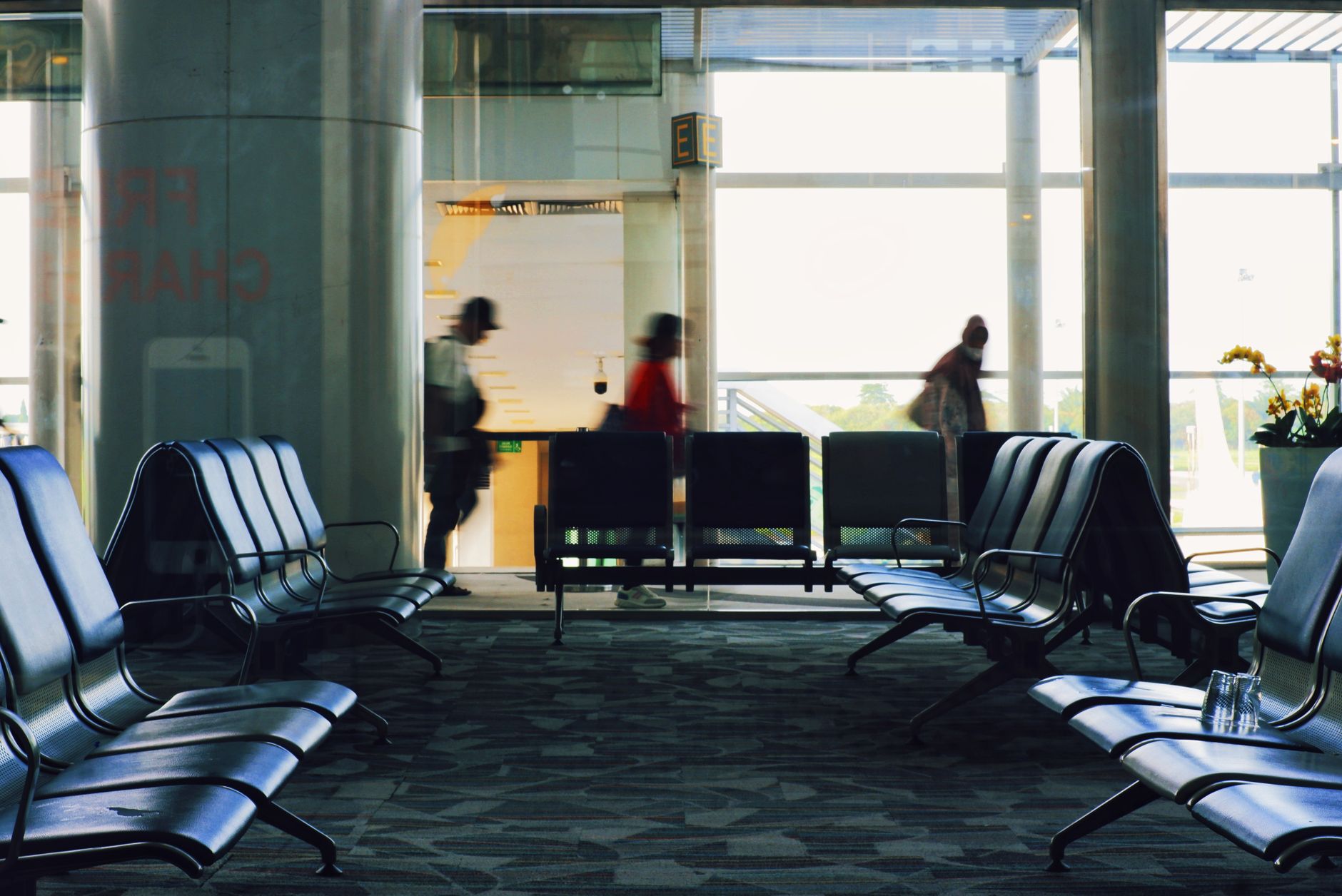 traveler airport gate with small dog inside ventilated travel bag