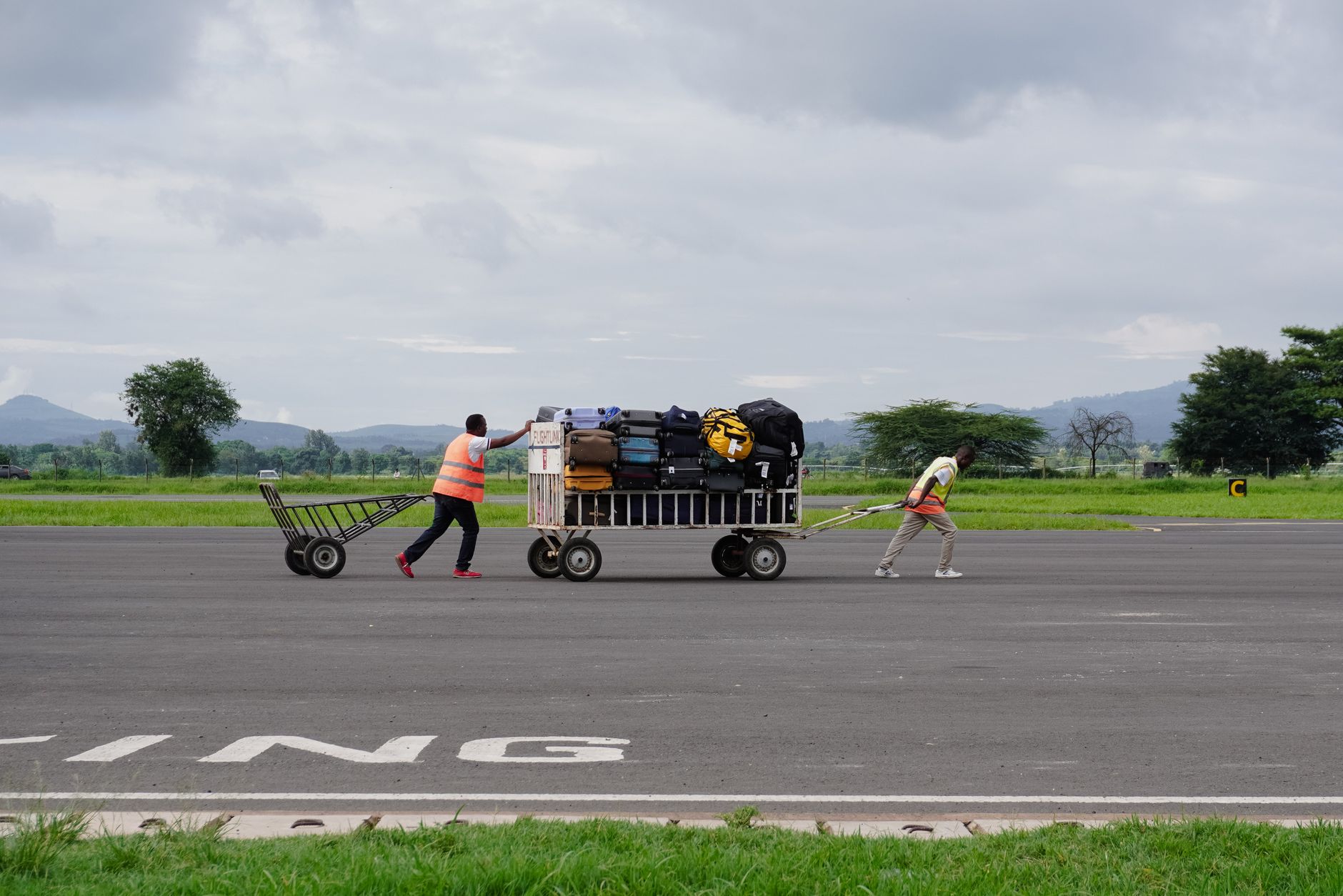 rigid pet kennel on airport tarmac baggage cart