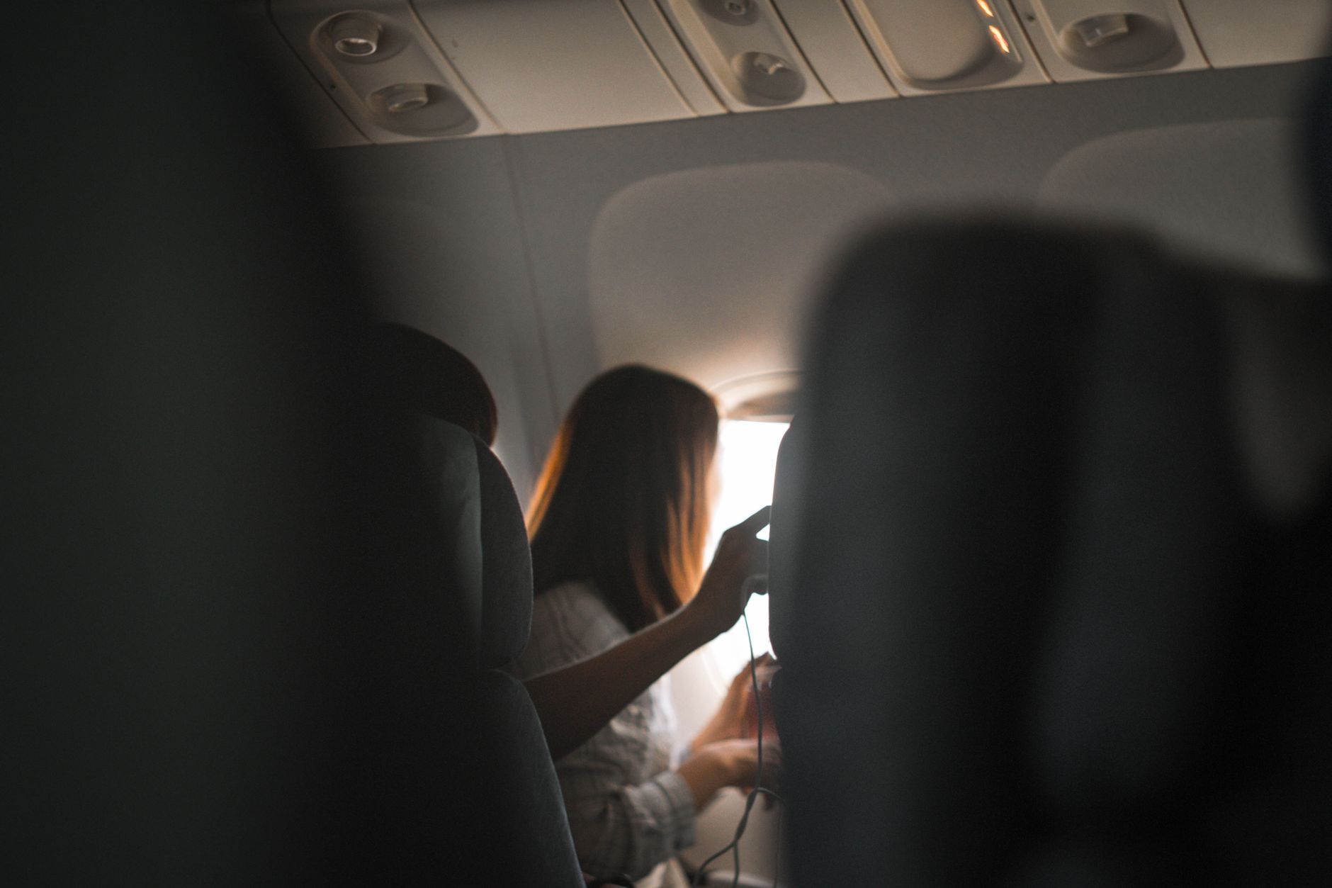 small dog inside airline cabin pet carrier under passenger seat