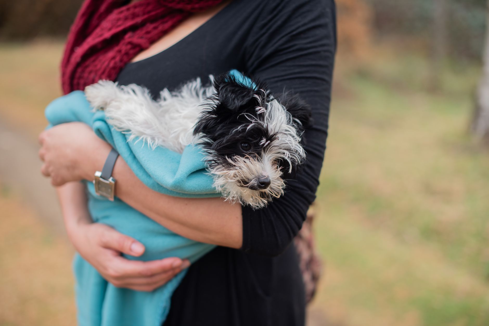 traveler carrying a small dog through an airport security metal detector