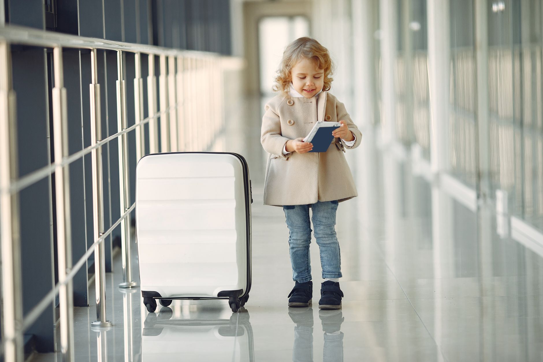 Delta Airlines International Pet Policy: 2026 Fees, Banned Routes and Documents