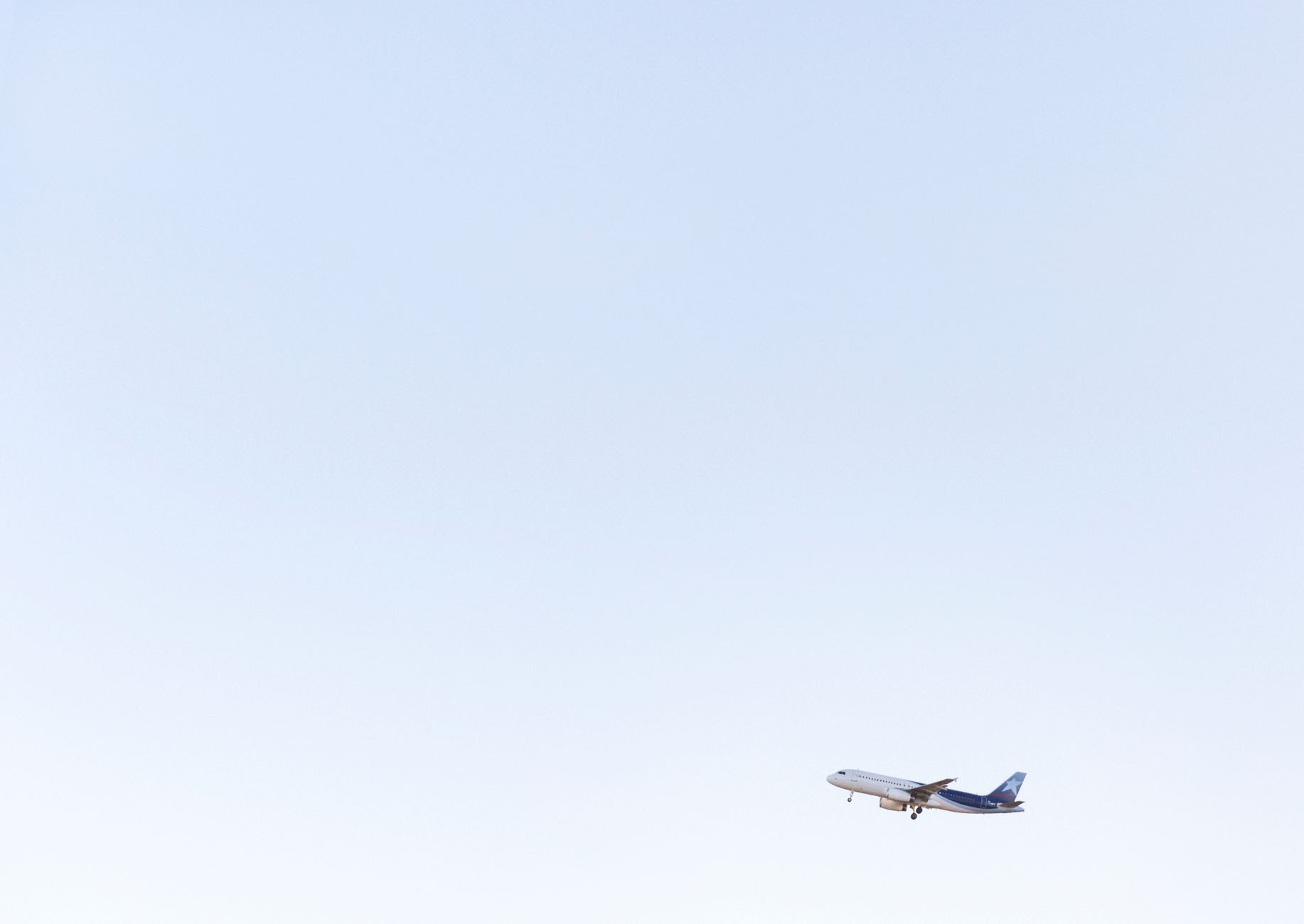 Can You Take a Cat on a Plane? Cabin Rules, Fees, and Papers