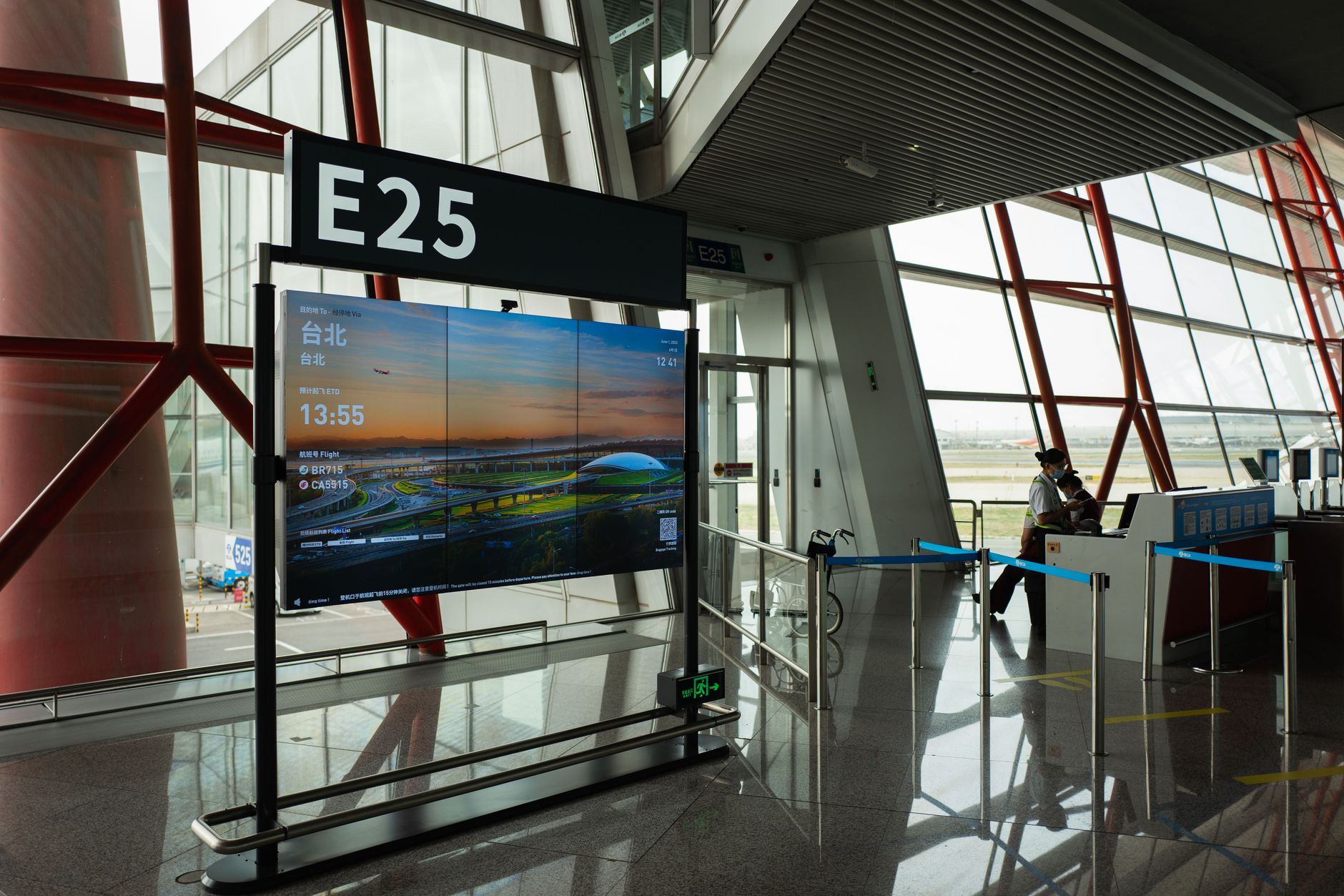 How to Fly With a Large Dog: Airline Rules, Crates, and Costs (2026)