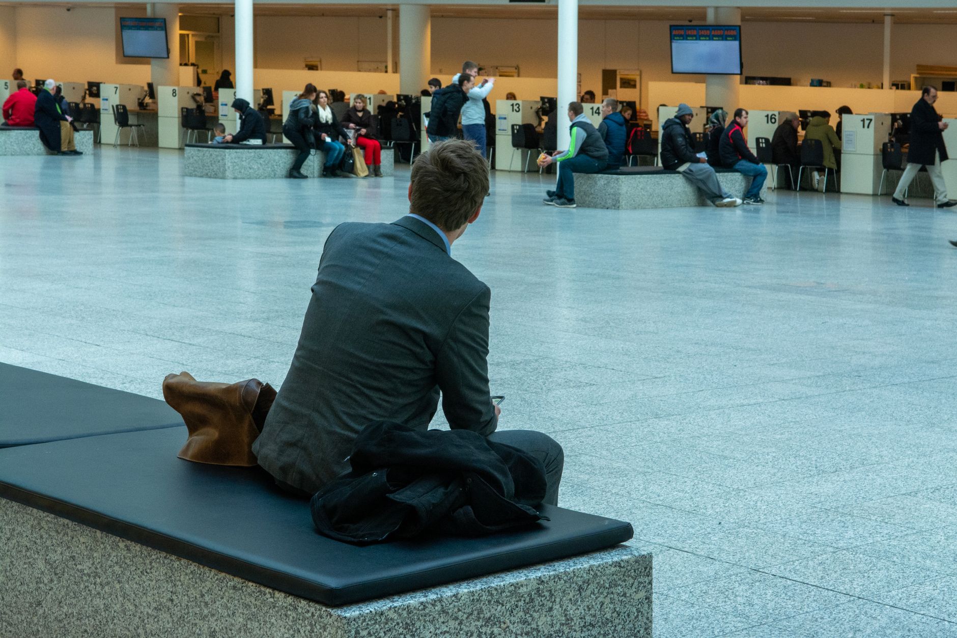 American Airlines Dog Policy: Cabin Fees, Cargo Rules, Service Dogs
