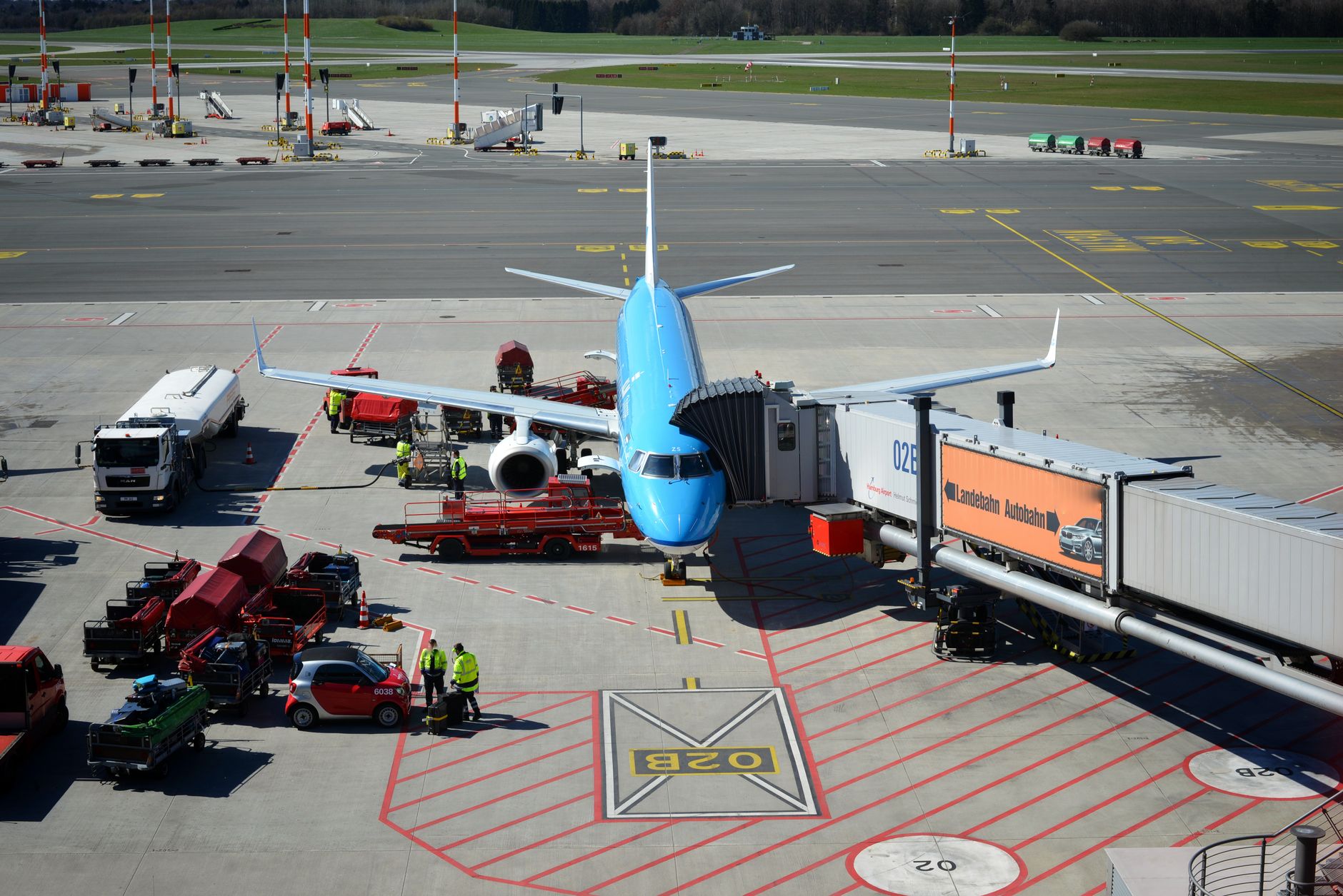 Airline Approved Pet Carrier for 30lb Dog: Cabin vs Cargo Rules