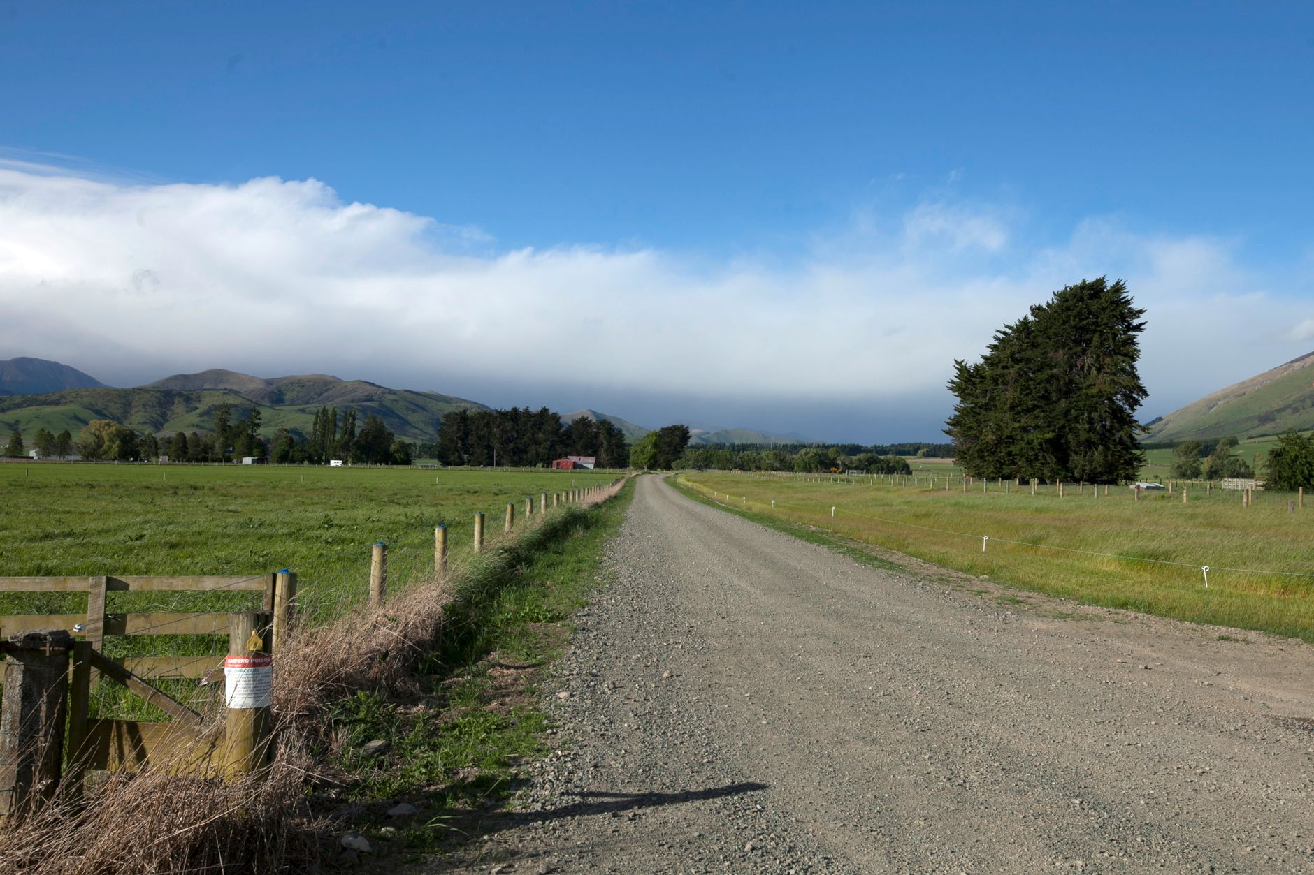 dog kennel run rural quarantine facility farmland New Zealand