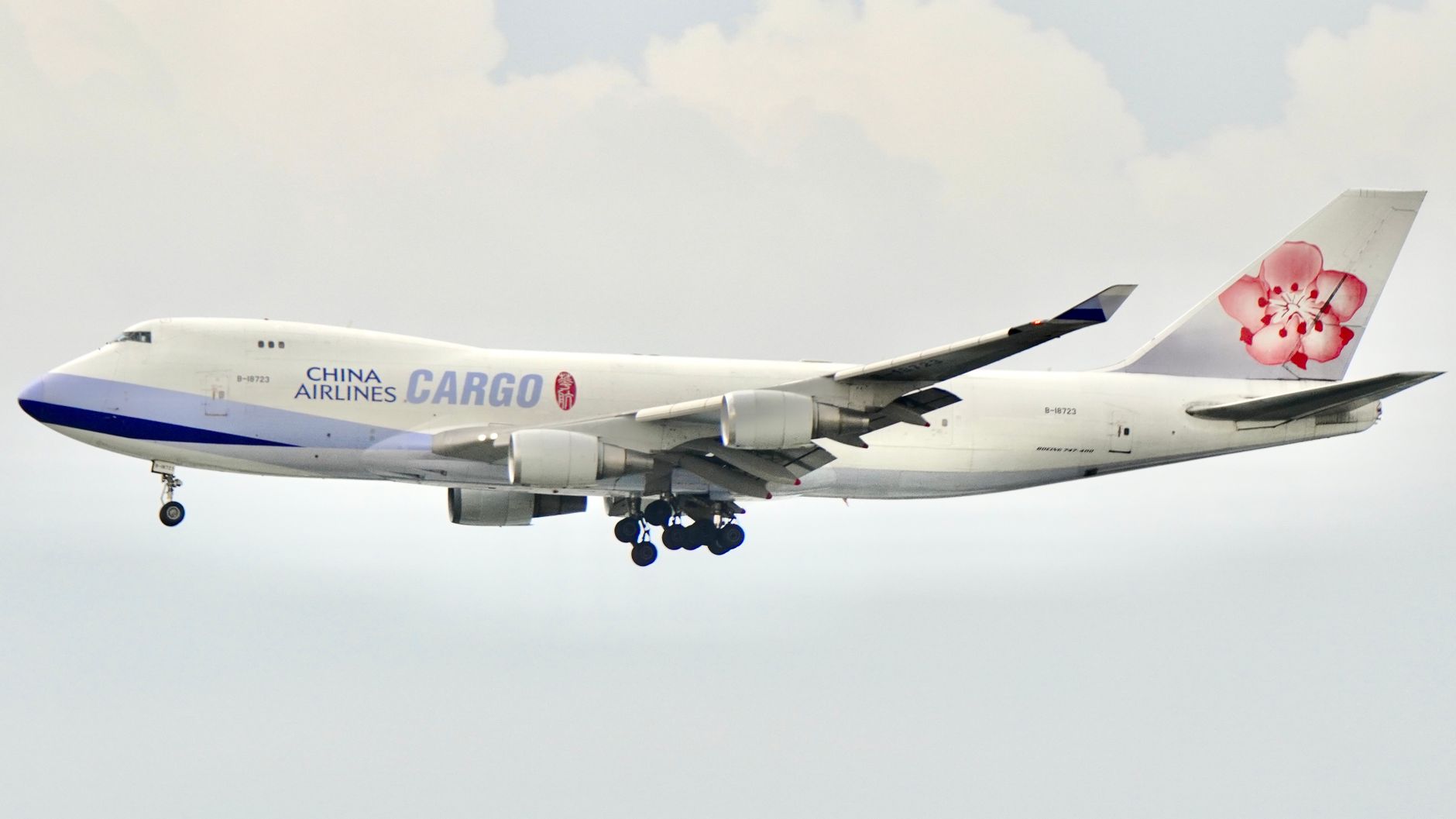 pet relocation shipping crate loaded onto cargo plane
