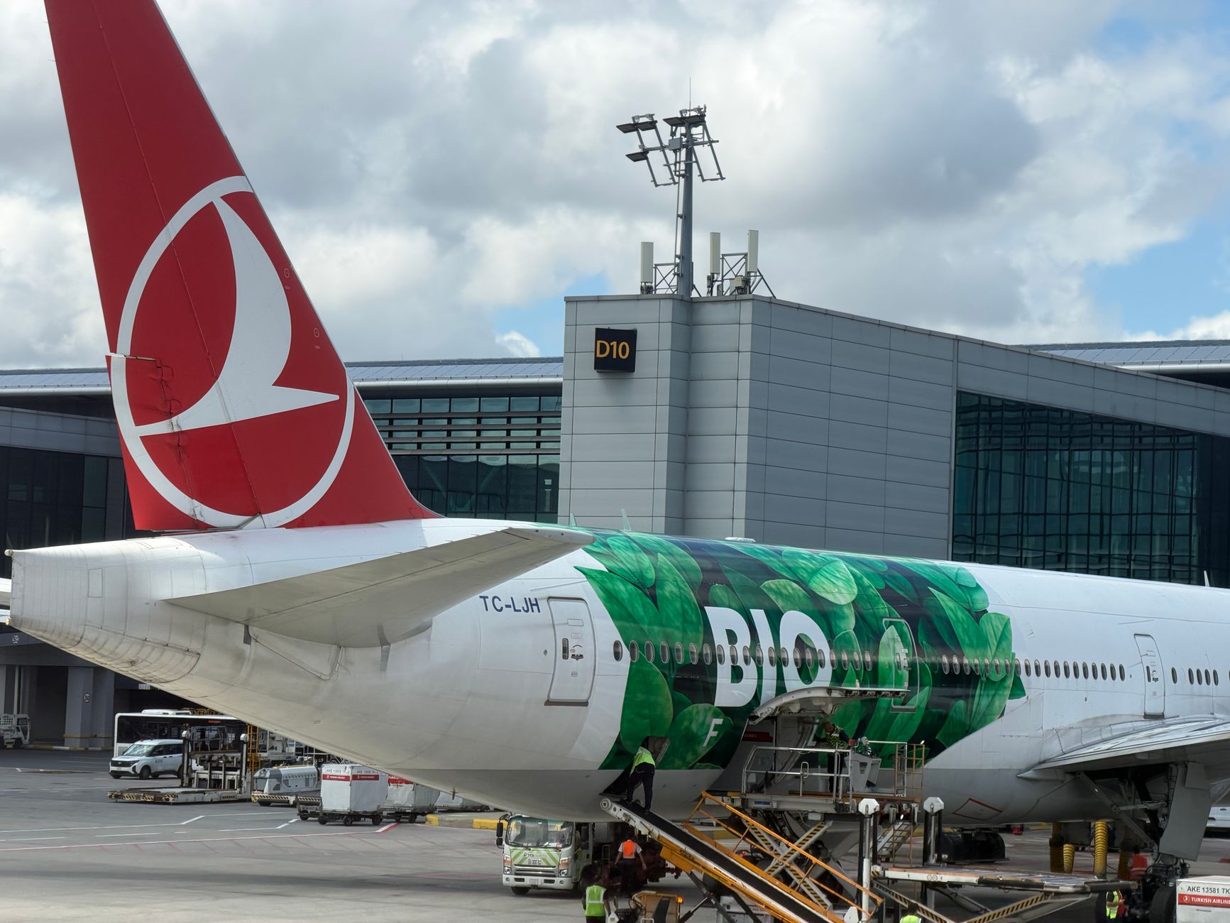 airliner tail with painted wildlife on airport tarmac