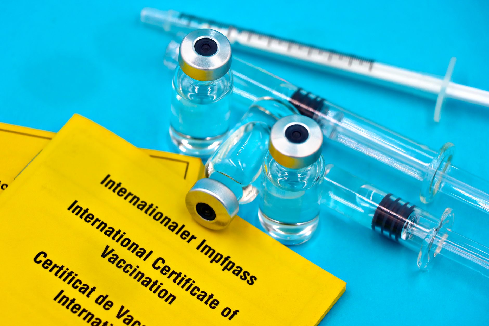 USDA Dog Travel: APHIS Certificates, CDC Rules, and the Right Form