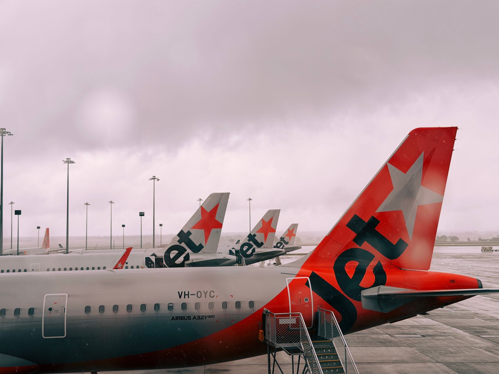 Pet Travel Requirements: USDA APHIS and CDC Rules for Dogs, Cats and Other Pets (2026 Guide)