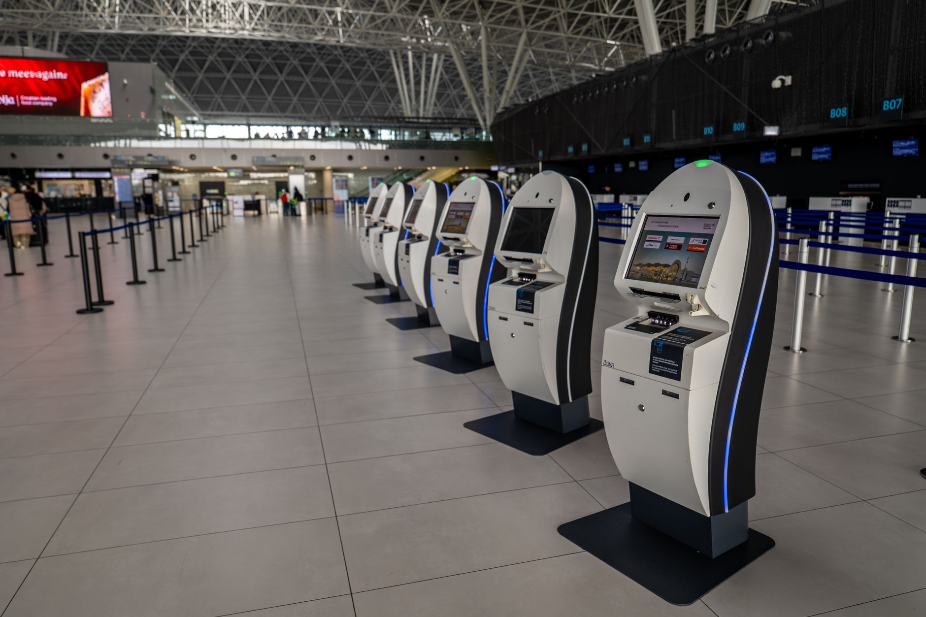 traveler completing digital customs form airport kiosk with small dog carrier