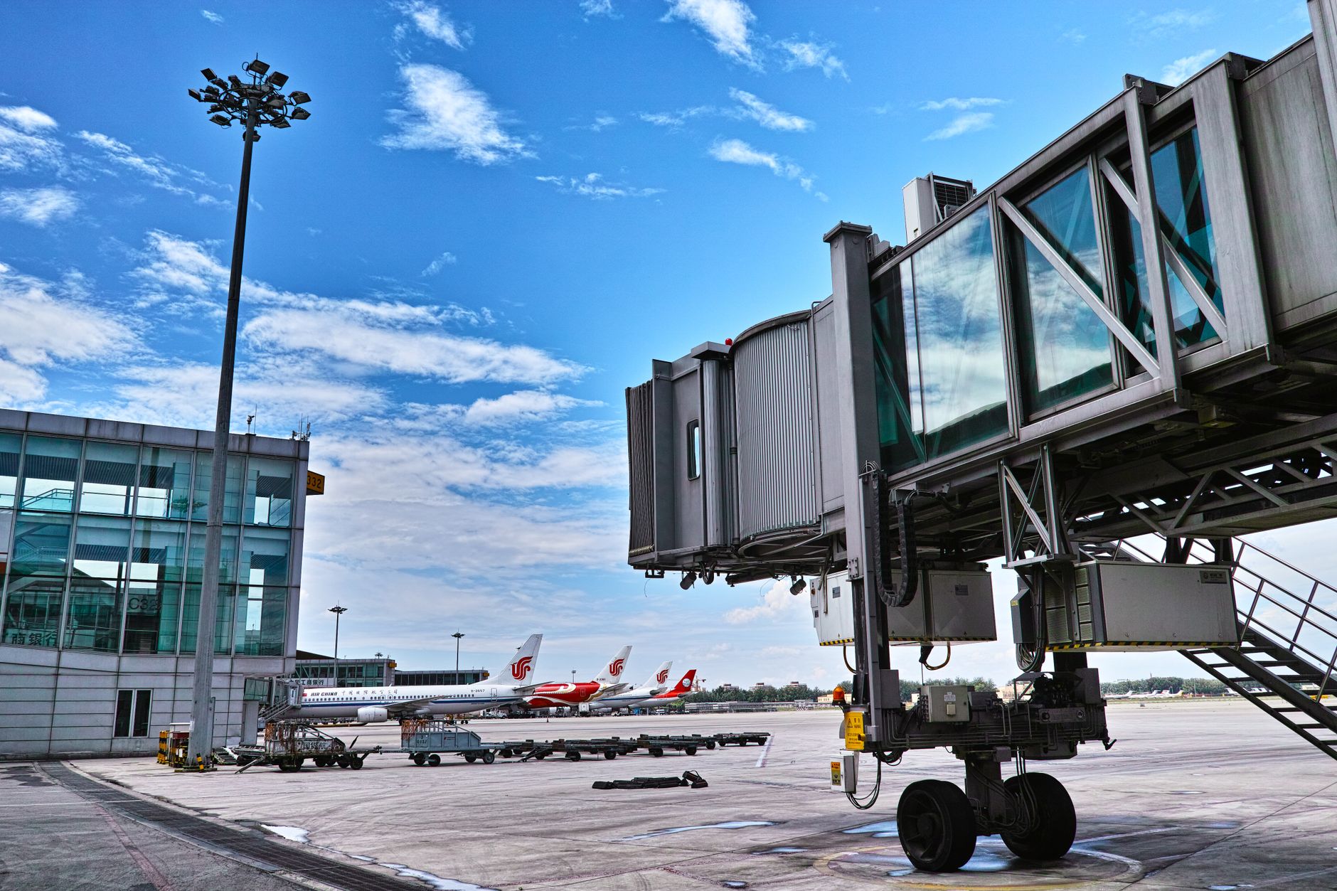 beagle in soft airline cabin carrier at airport gate