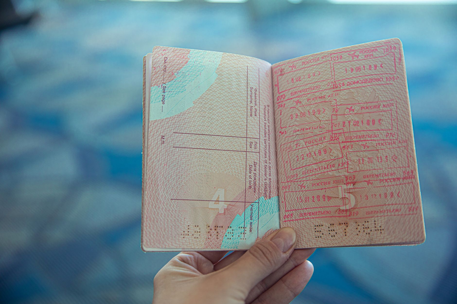 border control officer checking pet travel documents airport