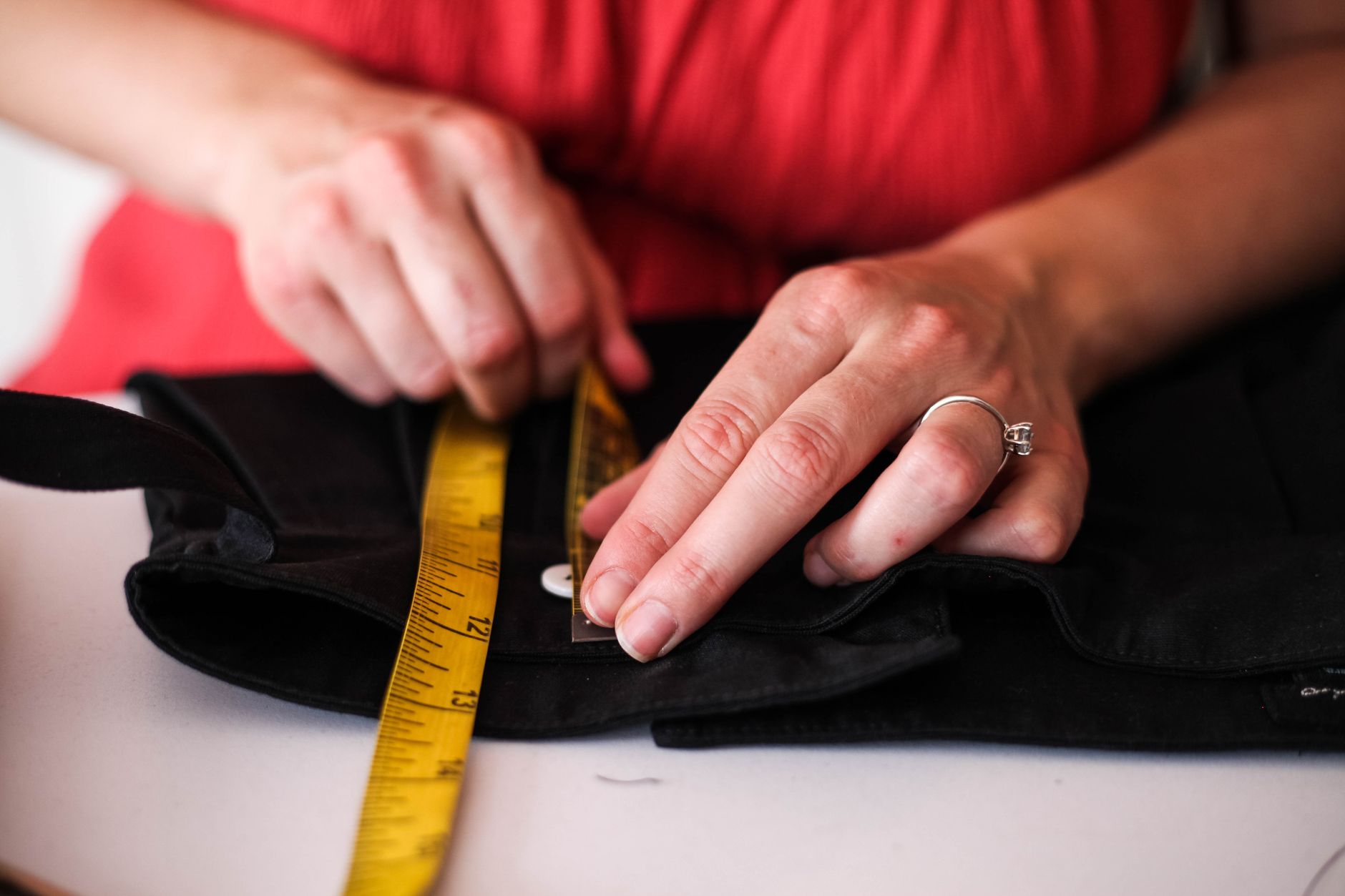 traveler measuring terrier for airline soft sided travel bag