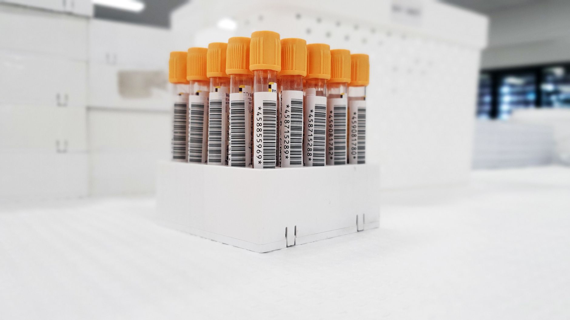 Rabies Test for Dog: Diagnosis vs Titer Explained