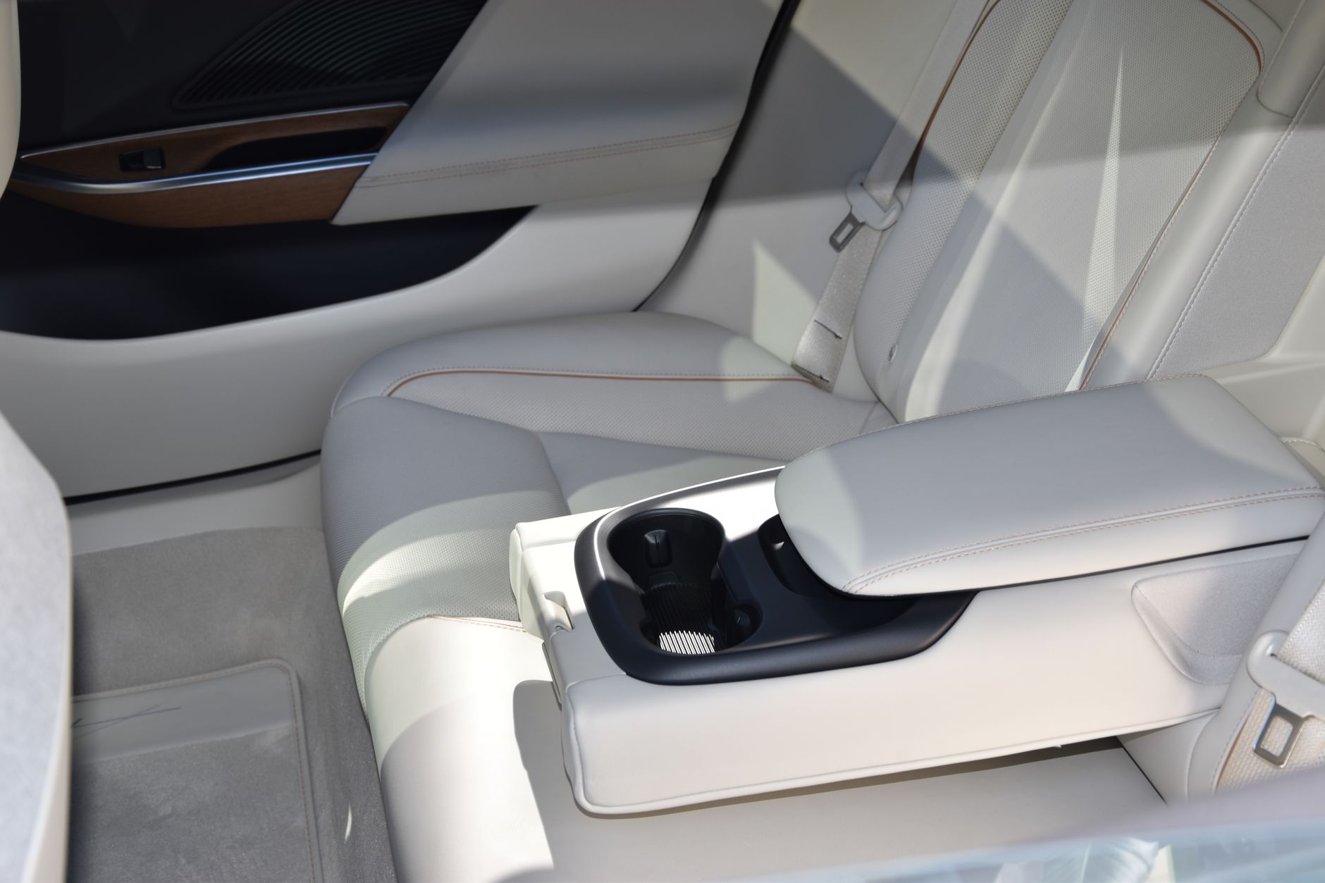 hard plastic cat kennel secured on sedan backseat floor