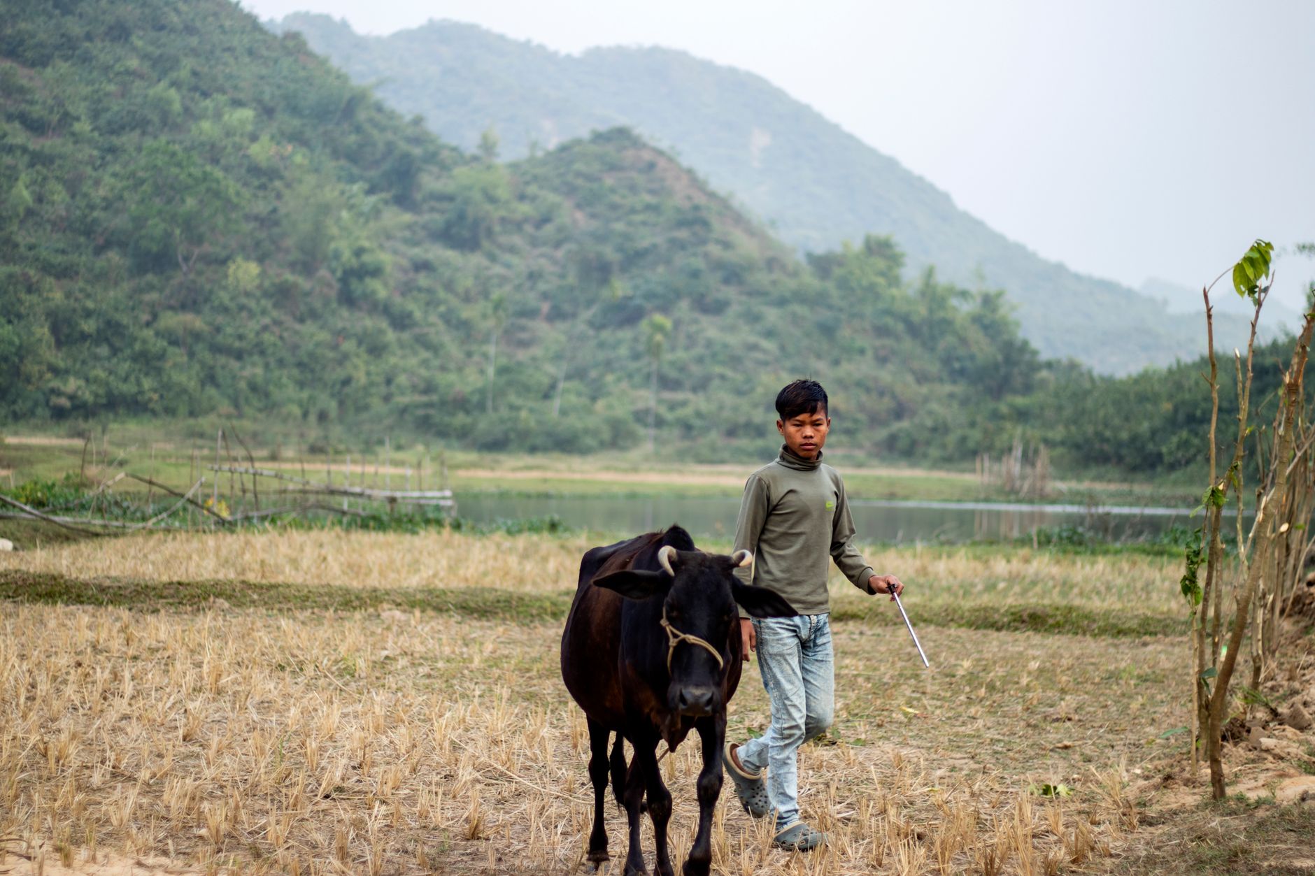 farmer leading livestock through flooded field