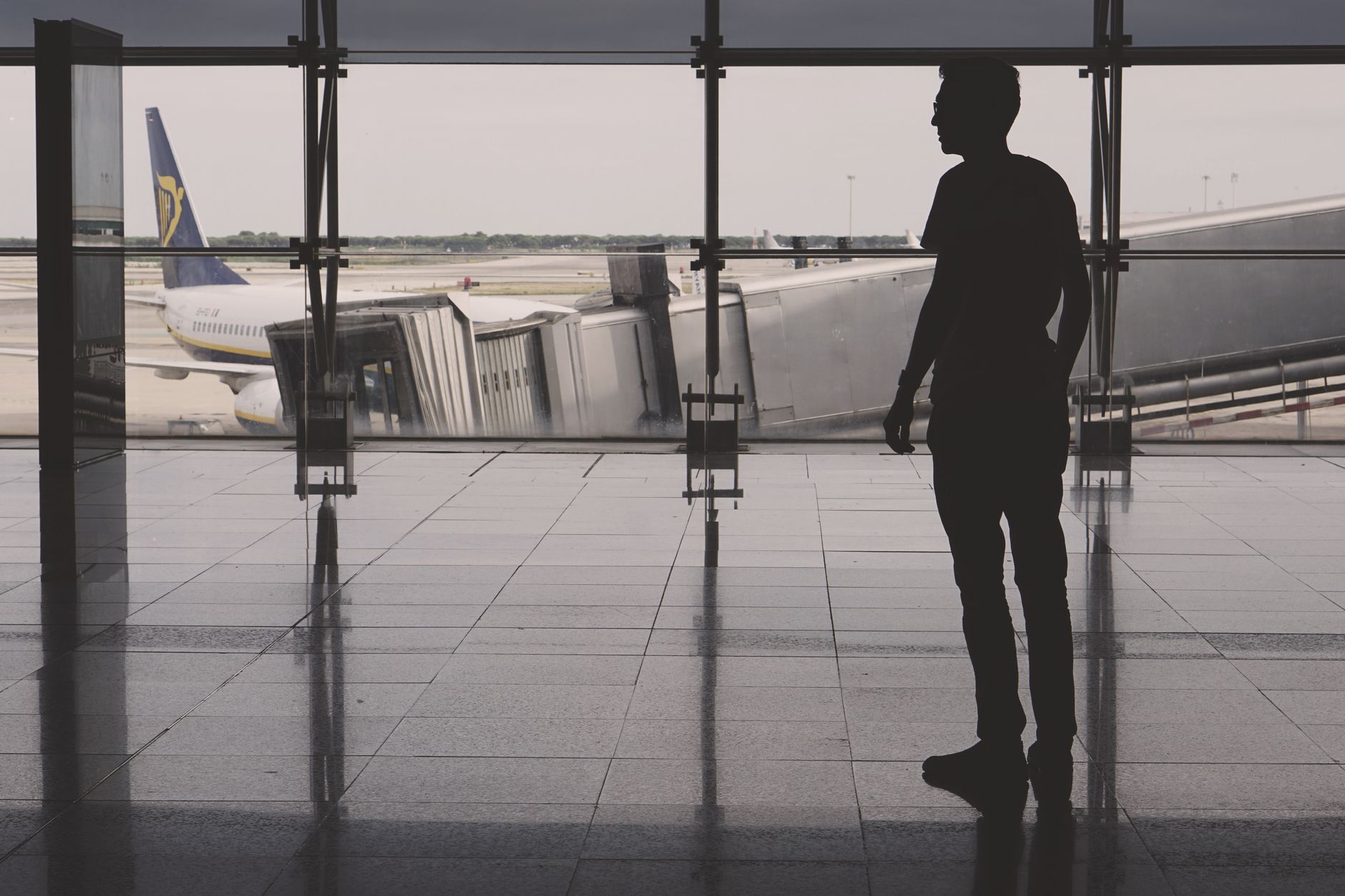 traveler holding pet carrier at airport departure gate window