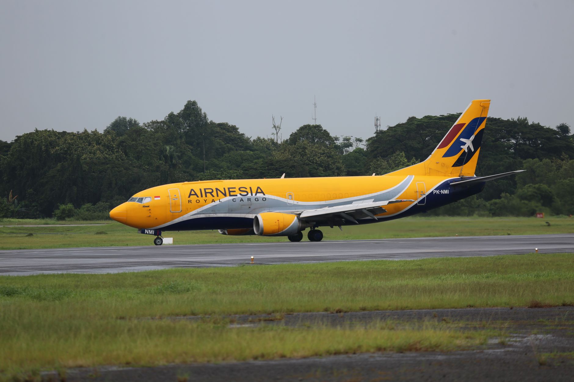 airline cargo pet carrier crate on airport tarmac