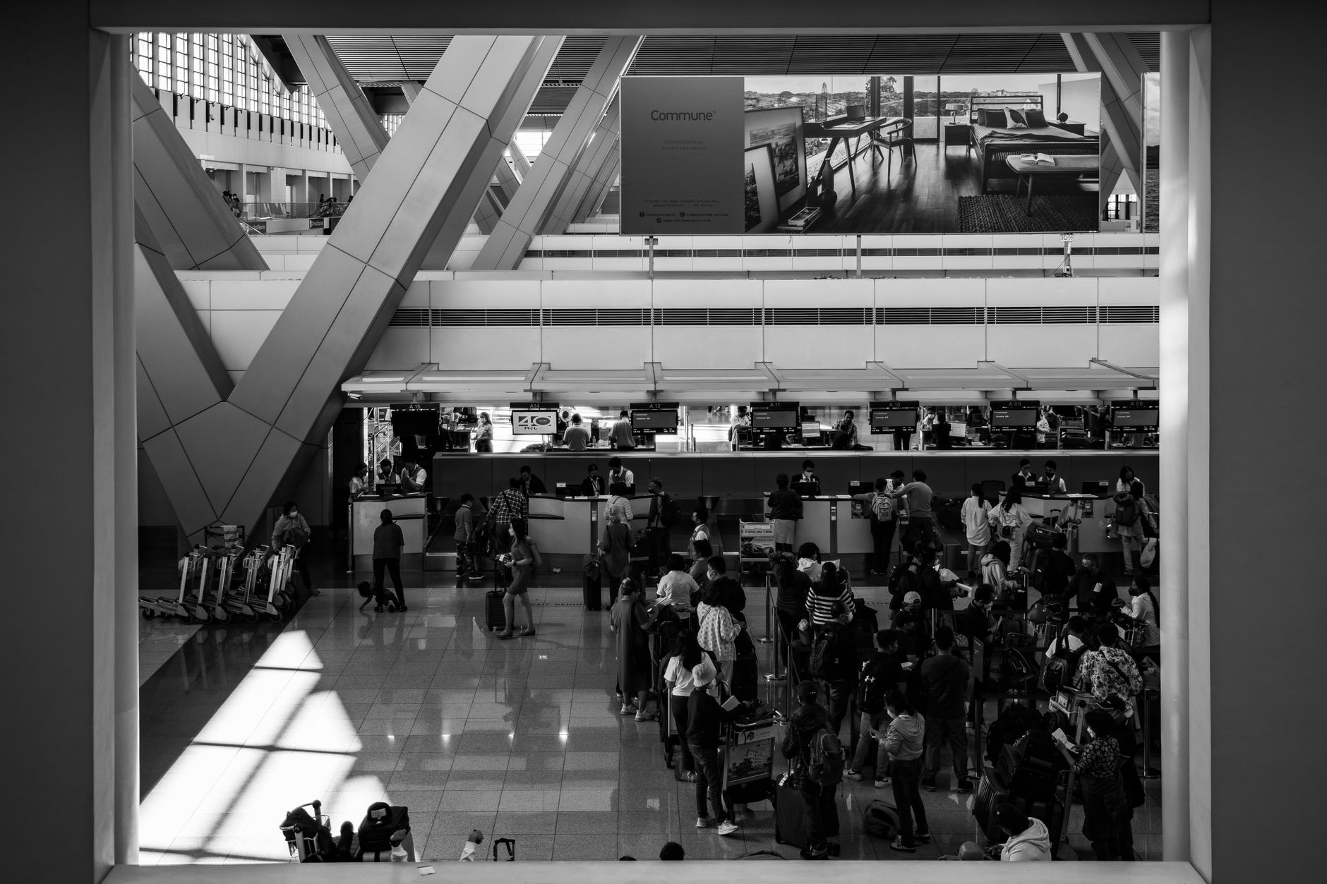 traveler airport ticket counter checking in dog carrier