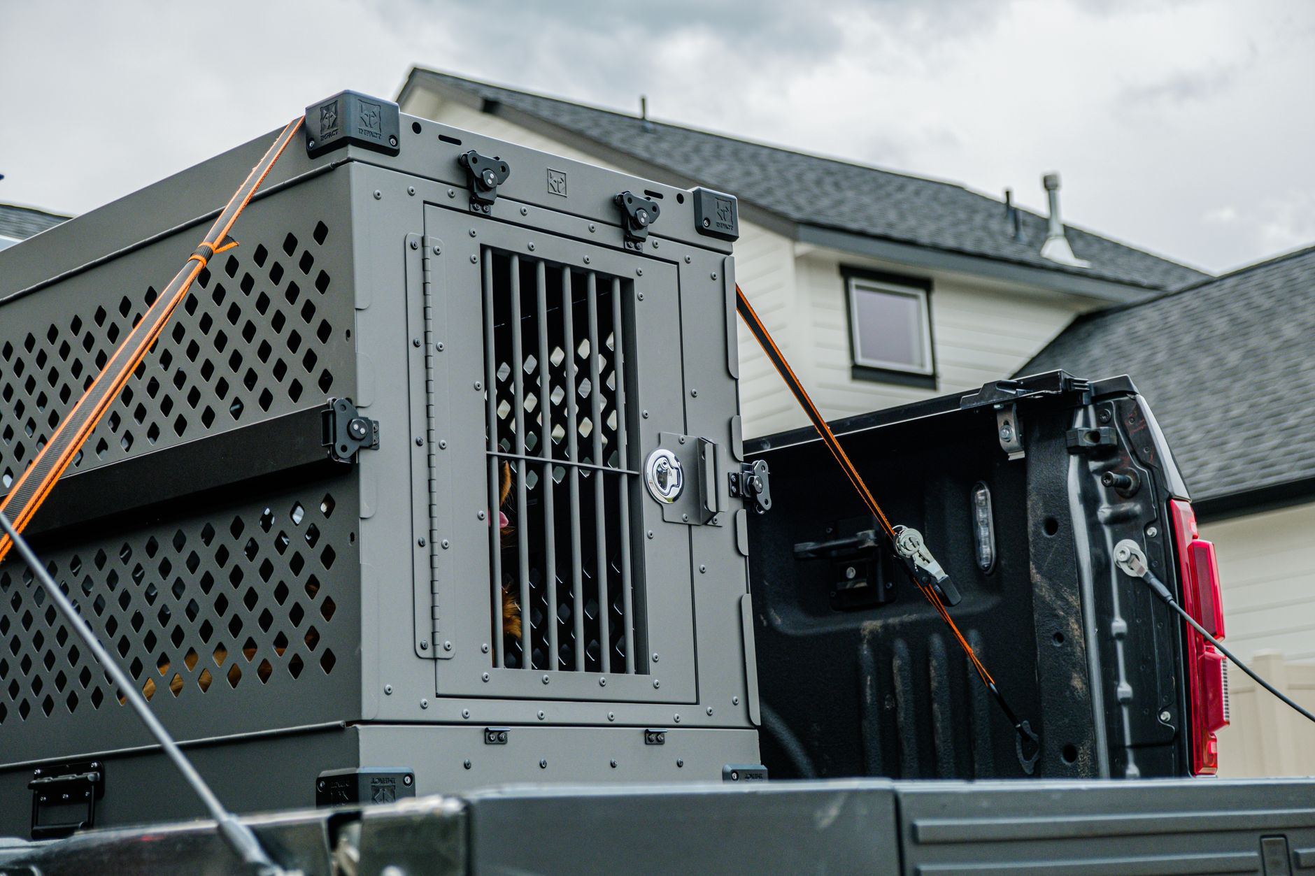 climate controlled van loading dog crate for pet transport