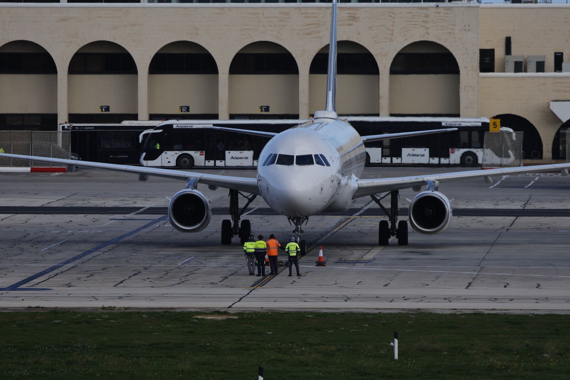 airline cargo crate dog Melbourne airport arrival
