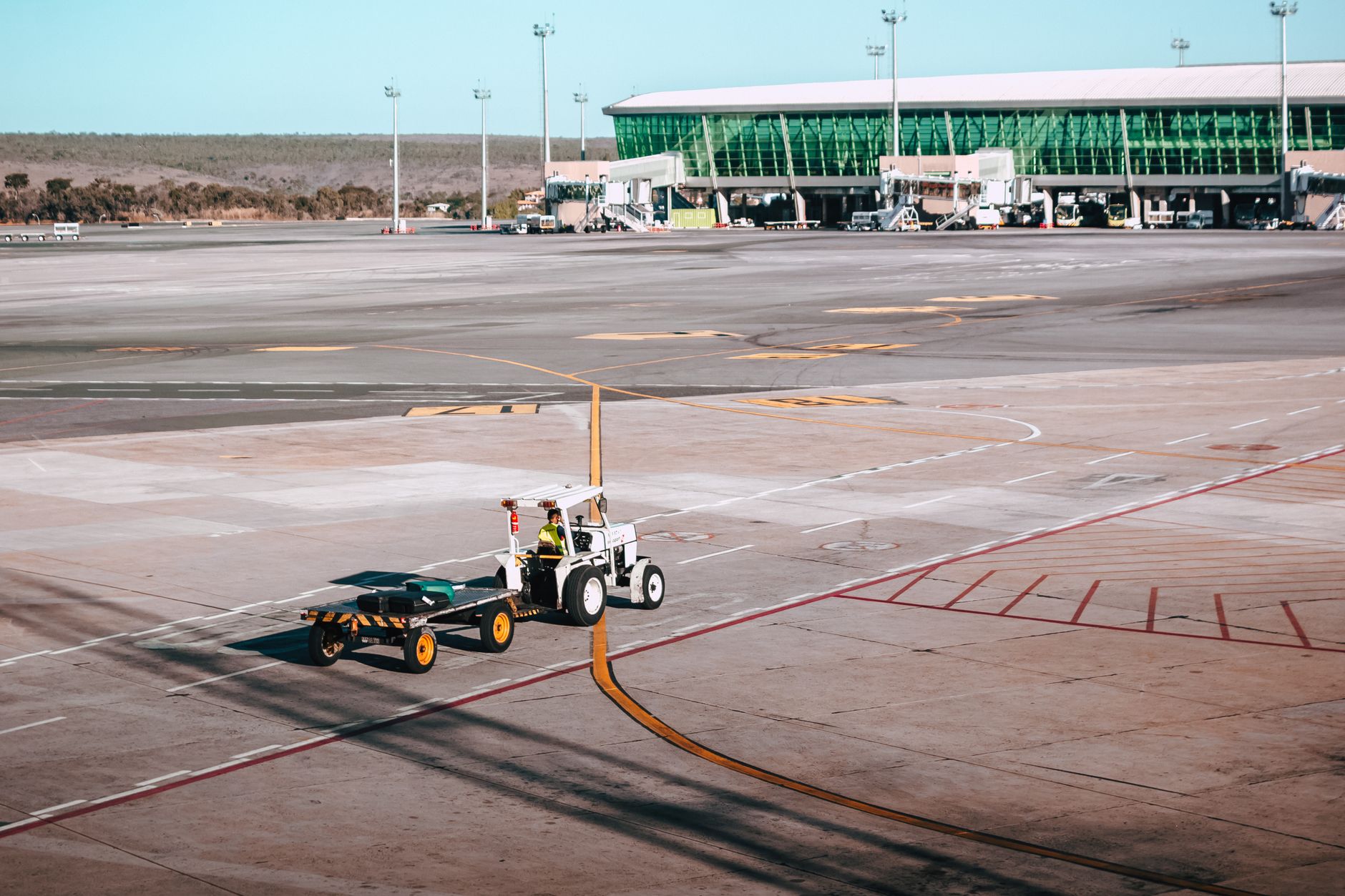 AA Pet Policy 2026: Cabin Fees, Cargo Rules, and Documents