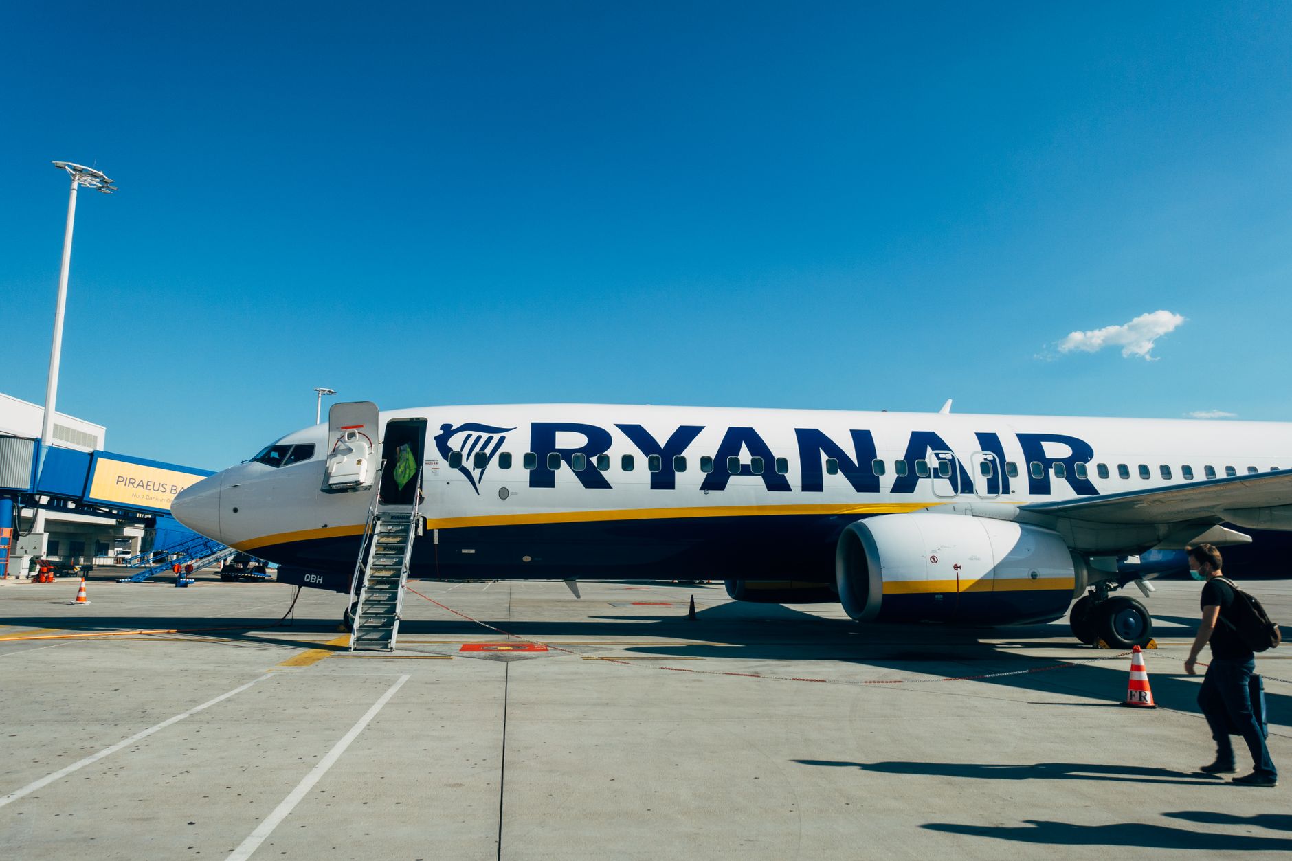 Dog Airplane Travel: Cabin, Cargo, and Documentation Rules for 2026