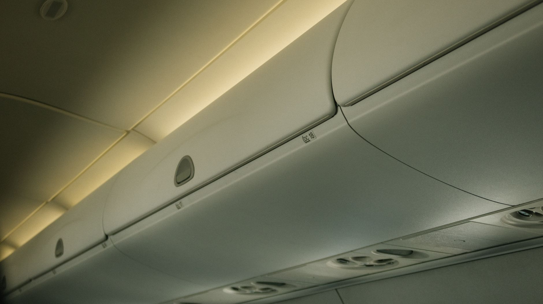 small dog in airline cabin pet carrier under airplane seat