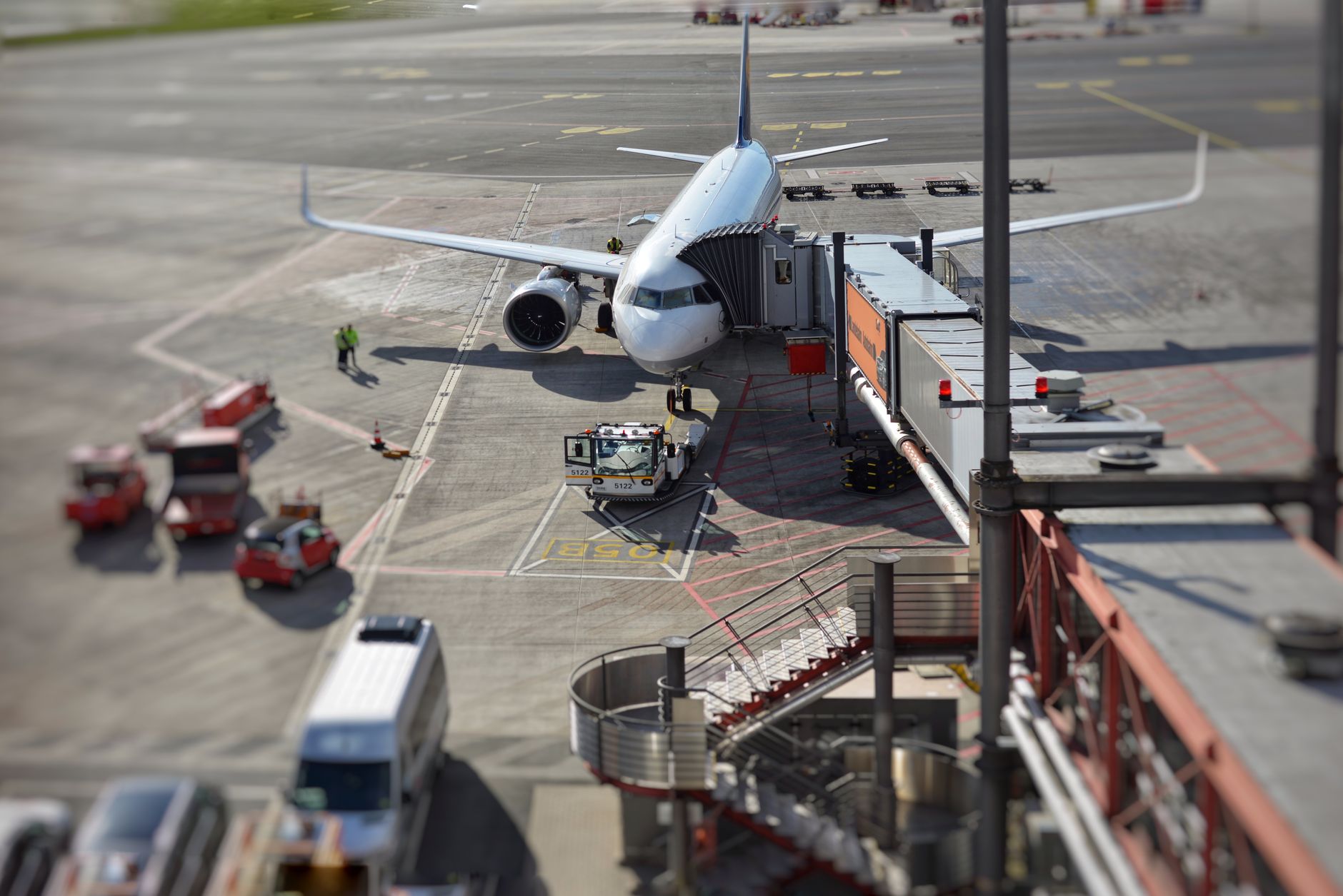 passenger checking in dog kennel at airport cargo counter