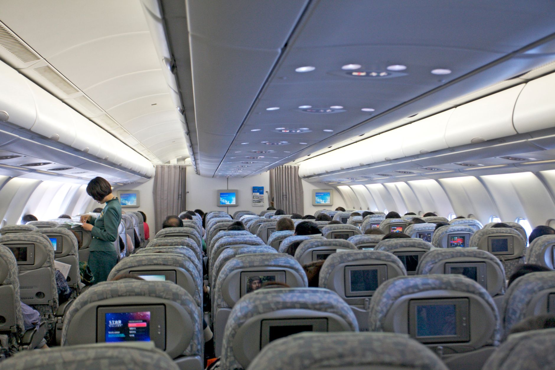 dog carrier bag fitting under airline seat cabin interior