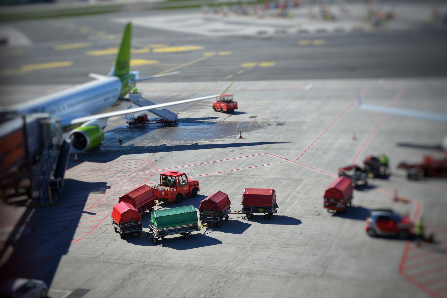 pet dog airline cargo crate airport departure hall
