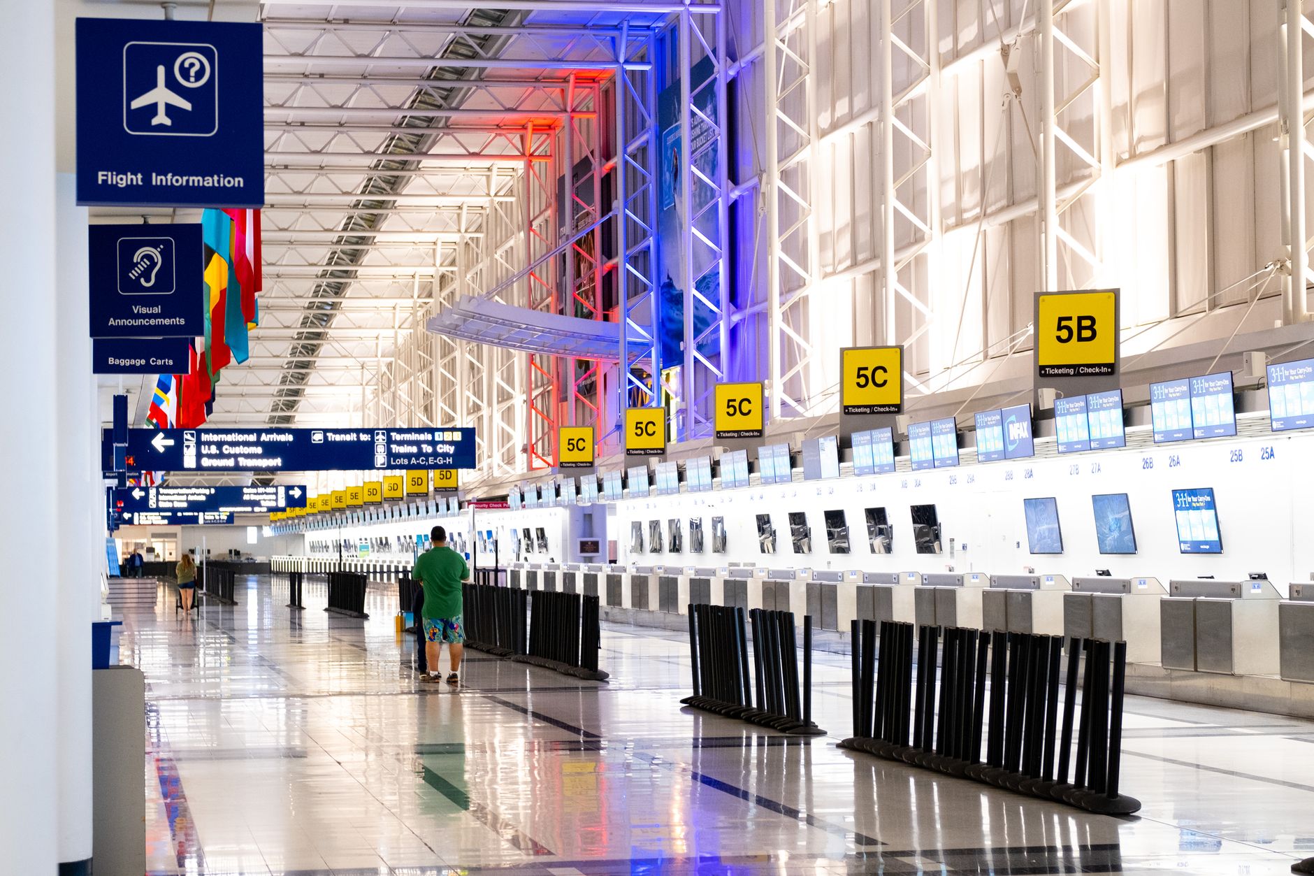 American Airlines Pet Policy 2026: Rules, Fees, and Required Documents
