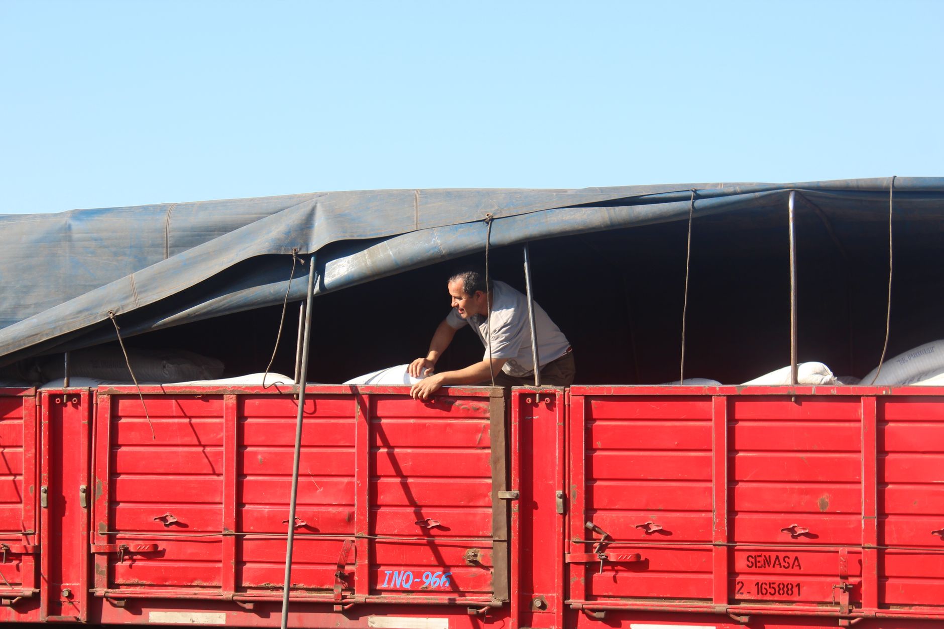 customs livestock truck inspection border checkpoint daylight