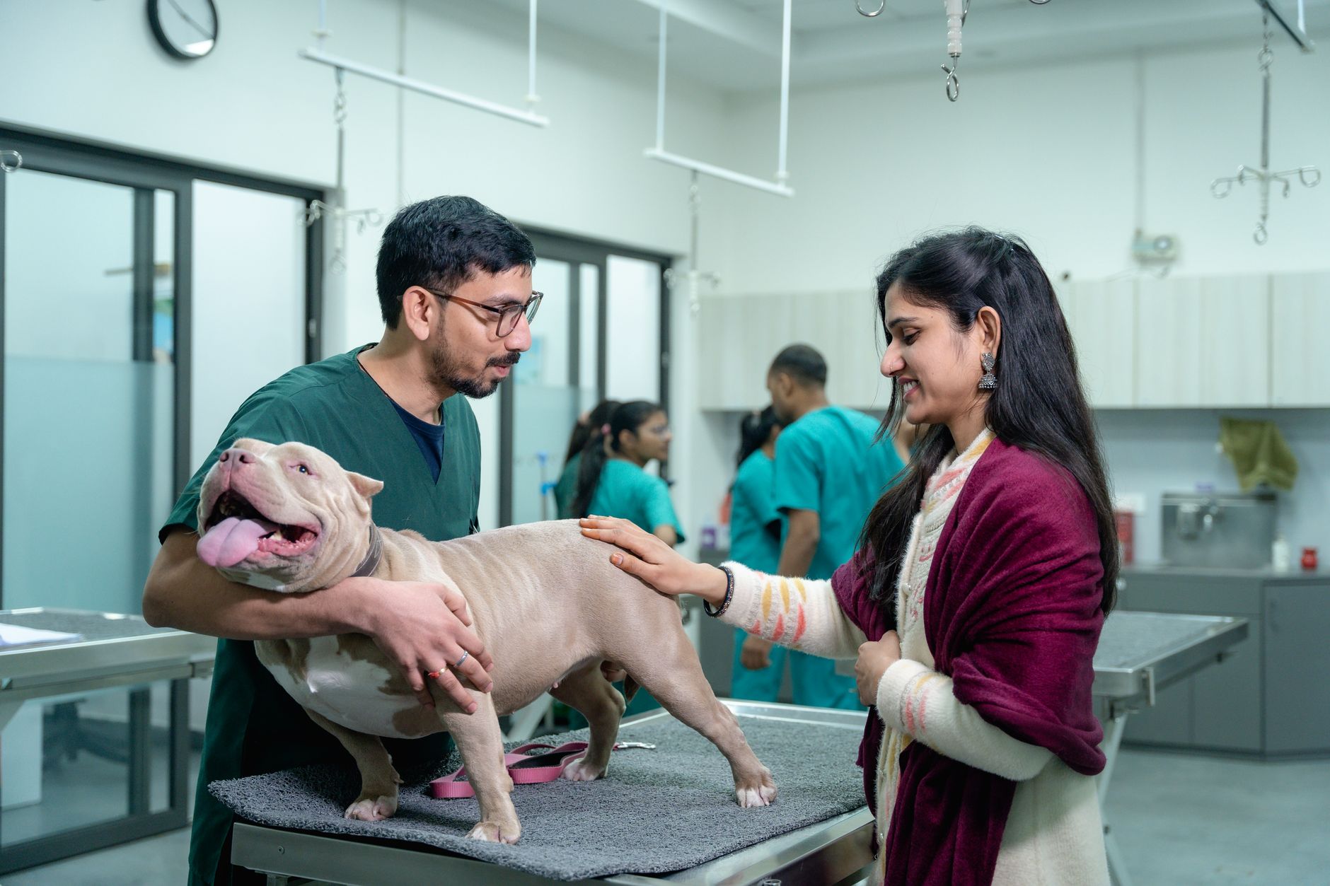 veterinarian signing paperwork with dog on exam table clinic