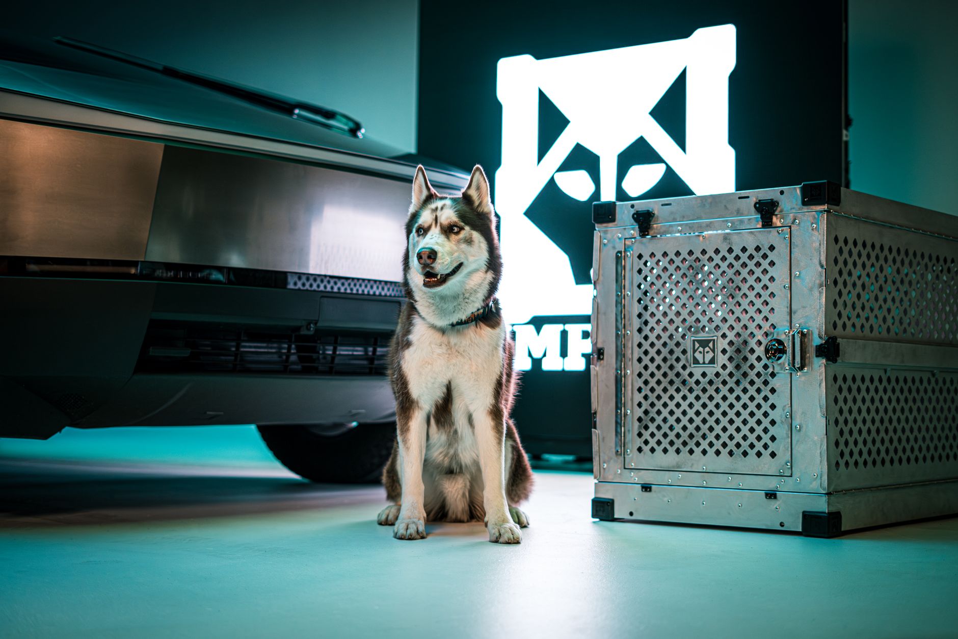 large dog in metal-door plastic travel crate at airport cargo warehouse