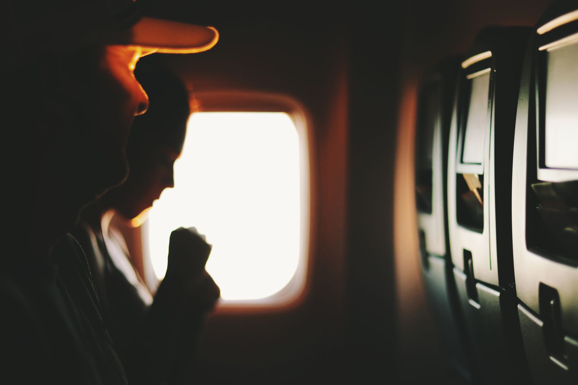 Can You Take Cats on Airplanes? 2026 Rules, Costs & Carrier Sizes