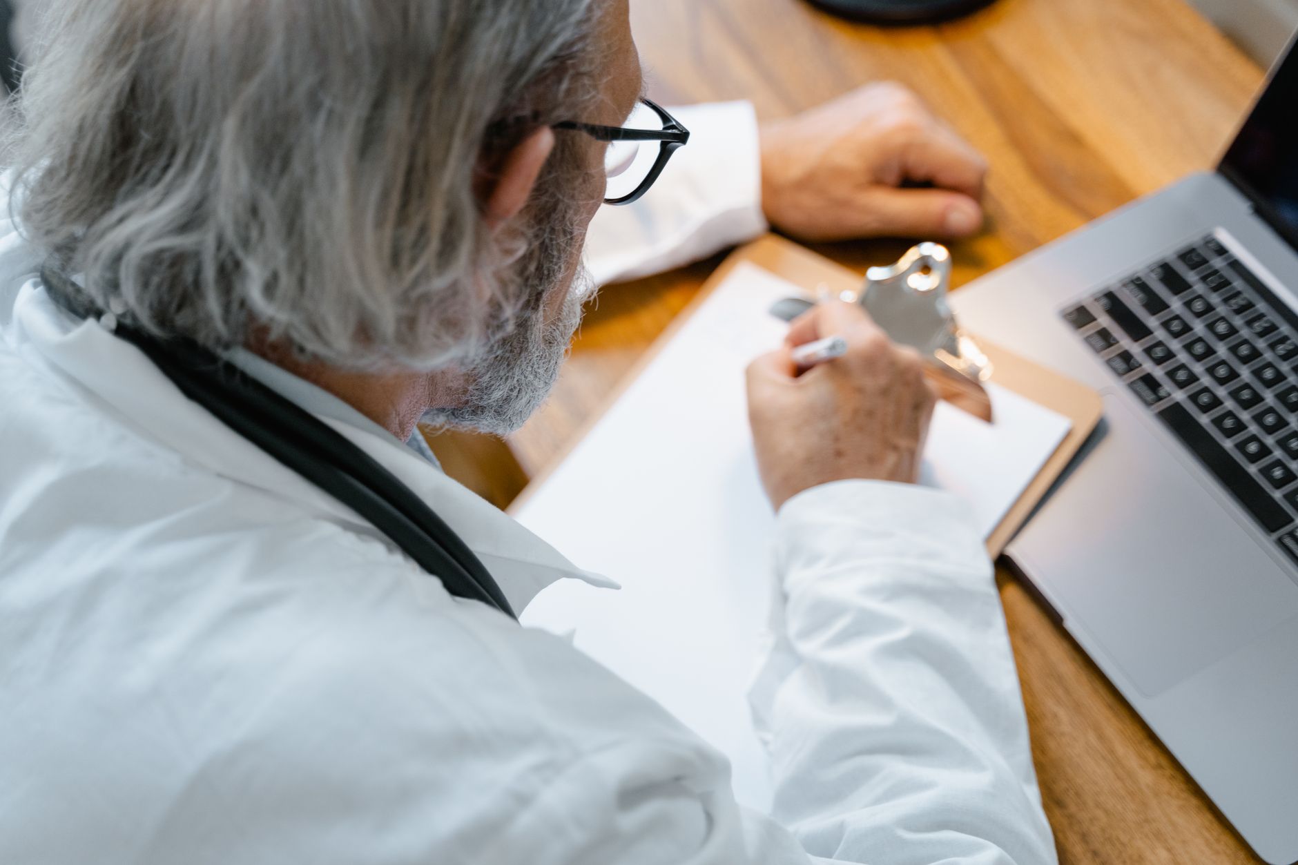 veterinarian examining house cat with health certificate clipboard desk