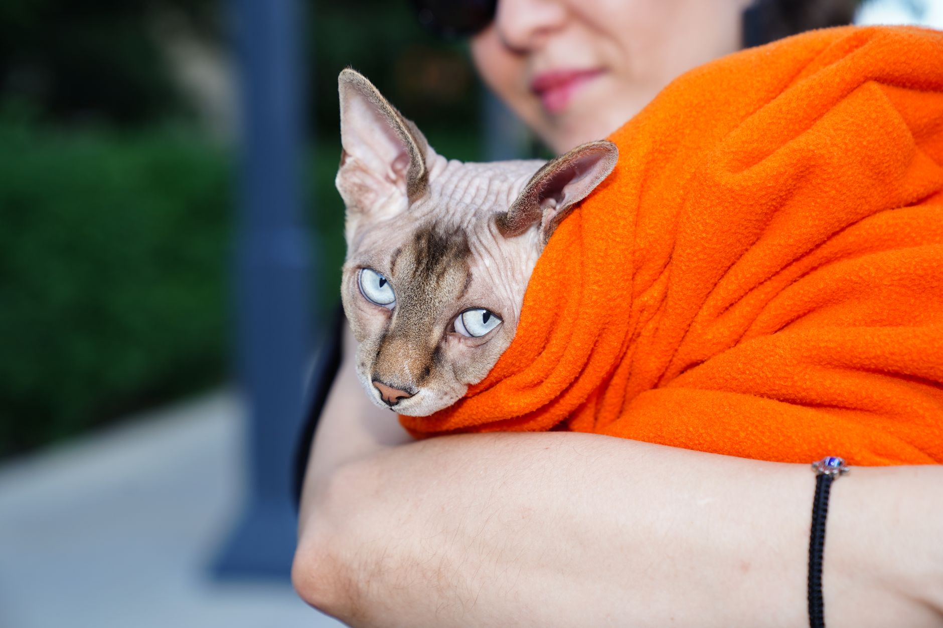 woman holding cat at airport security checkpoint