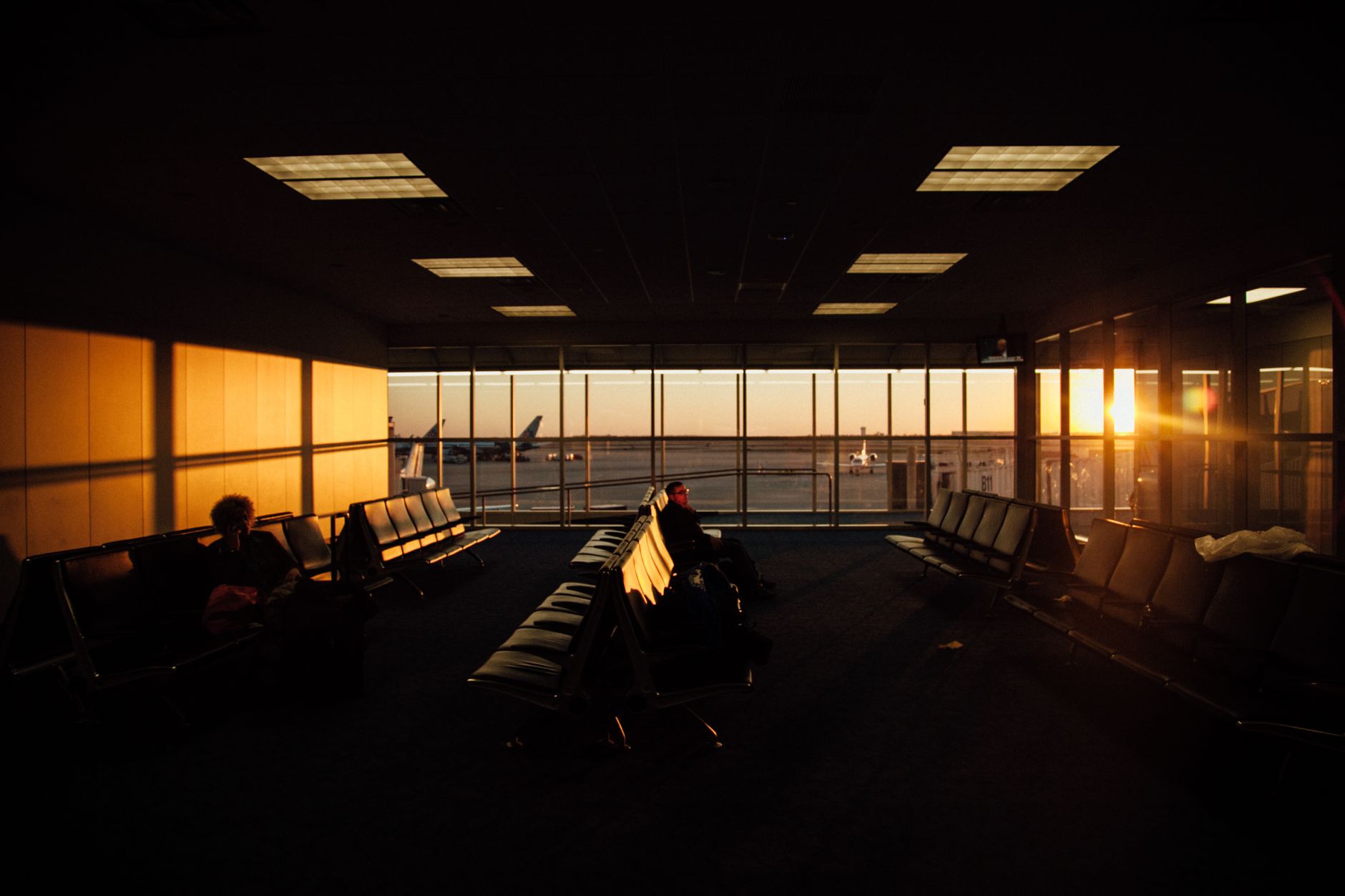 service dog harness beside airport gate chairs