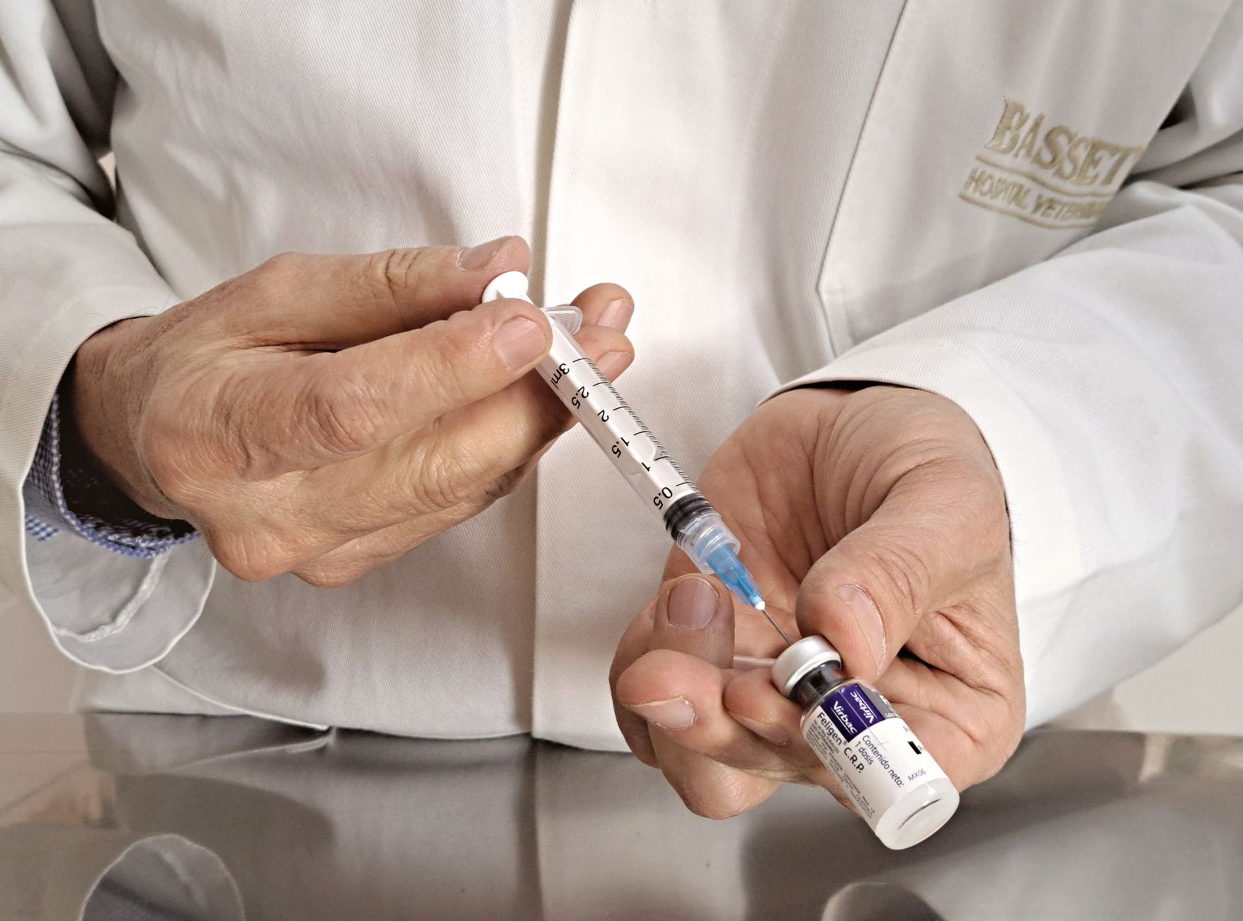 veterinarian drawing blood from dog leg clinic