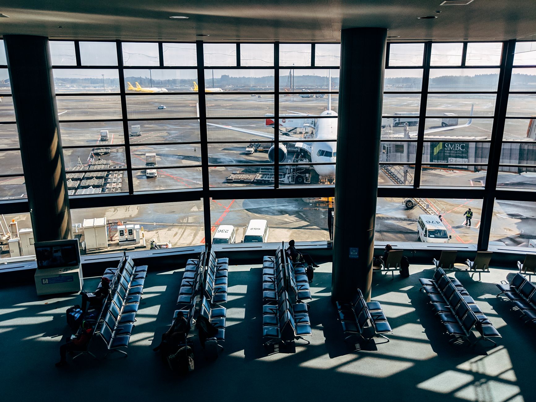United Airlines Animal Policy: Pets, Service Animals & Cargo Rules Explained