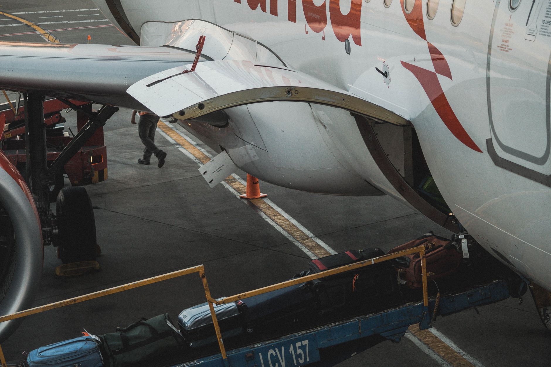 airline cargo employee loading pet carrier crate onto plane