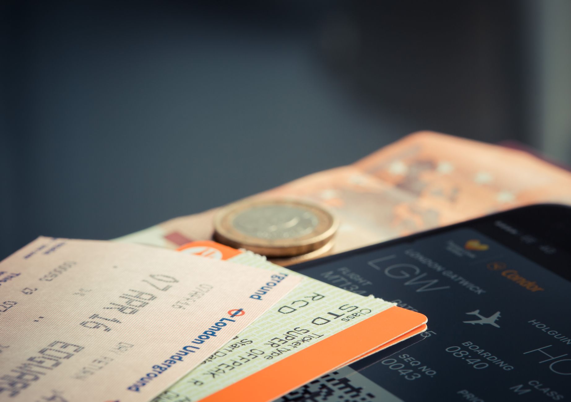 passenger paying pet travel fee at airport airline ticket counter