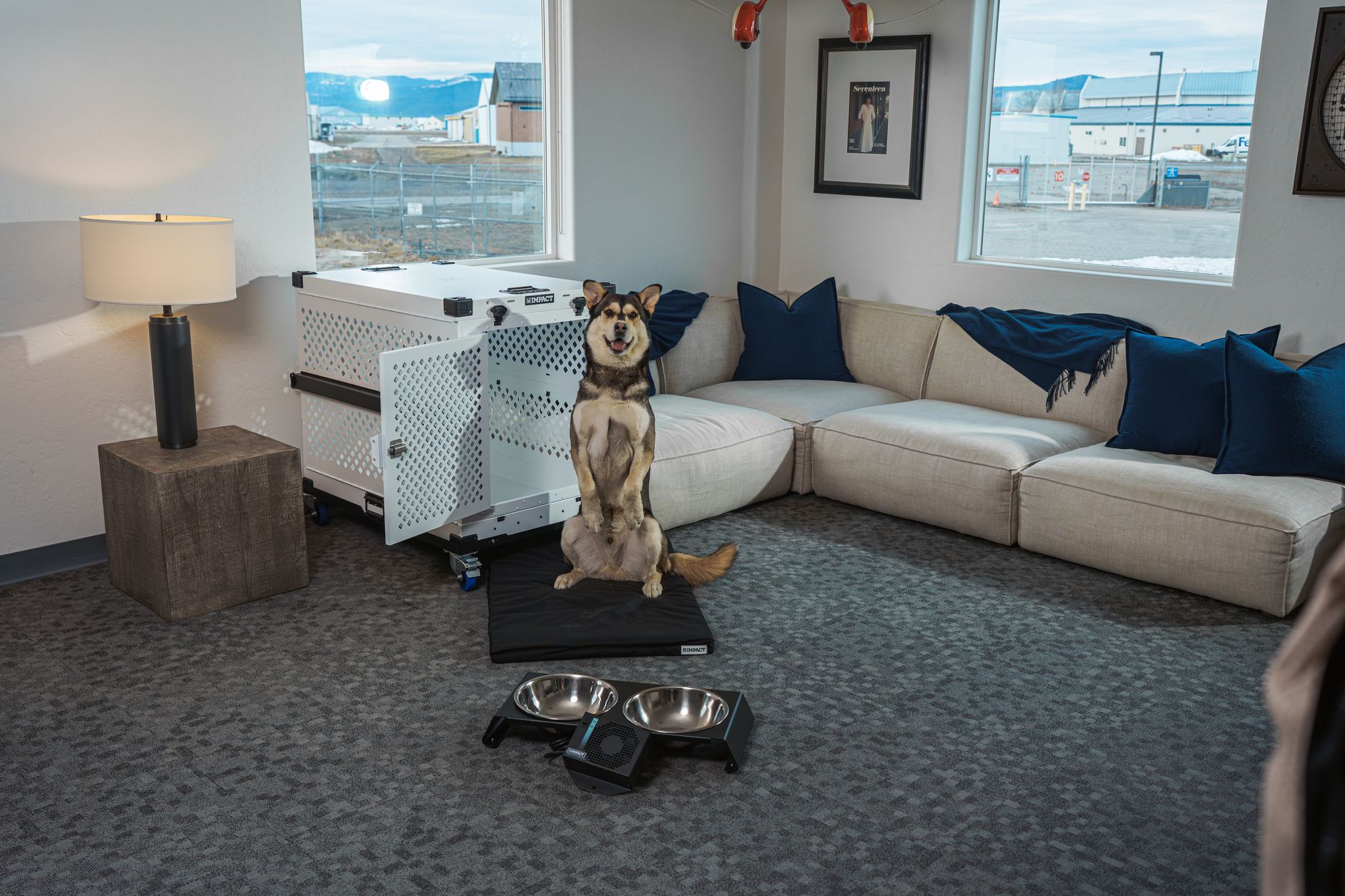 dog crate airport quarantine facility worker