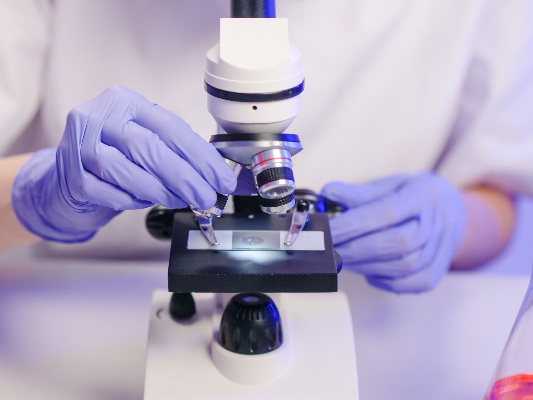 veterinarian examining dog brain tissue sample laboratory microscope