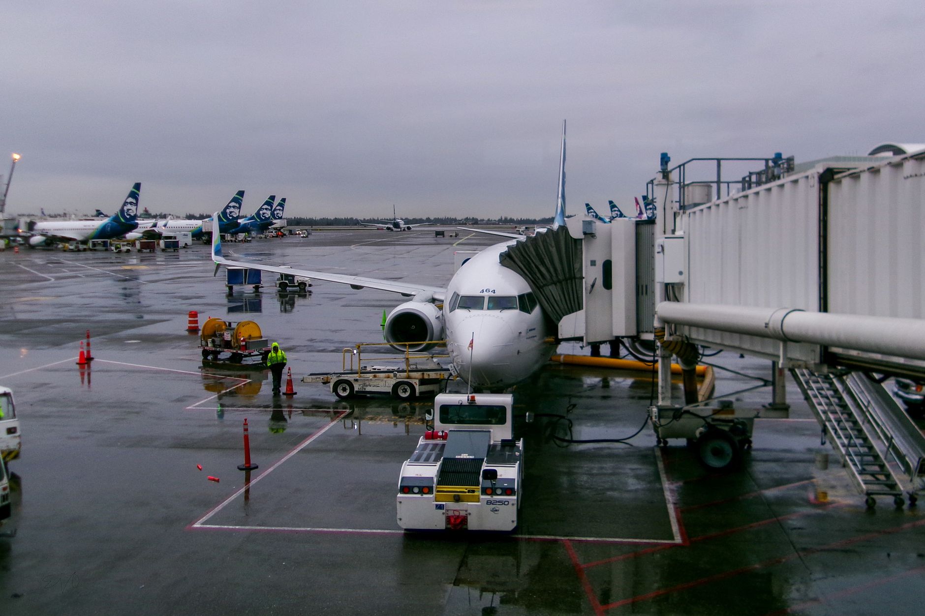 woman boarding airplane with dog carrier at gate
