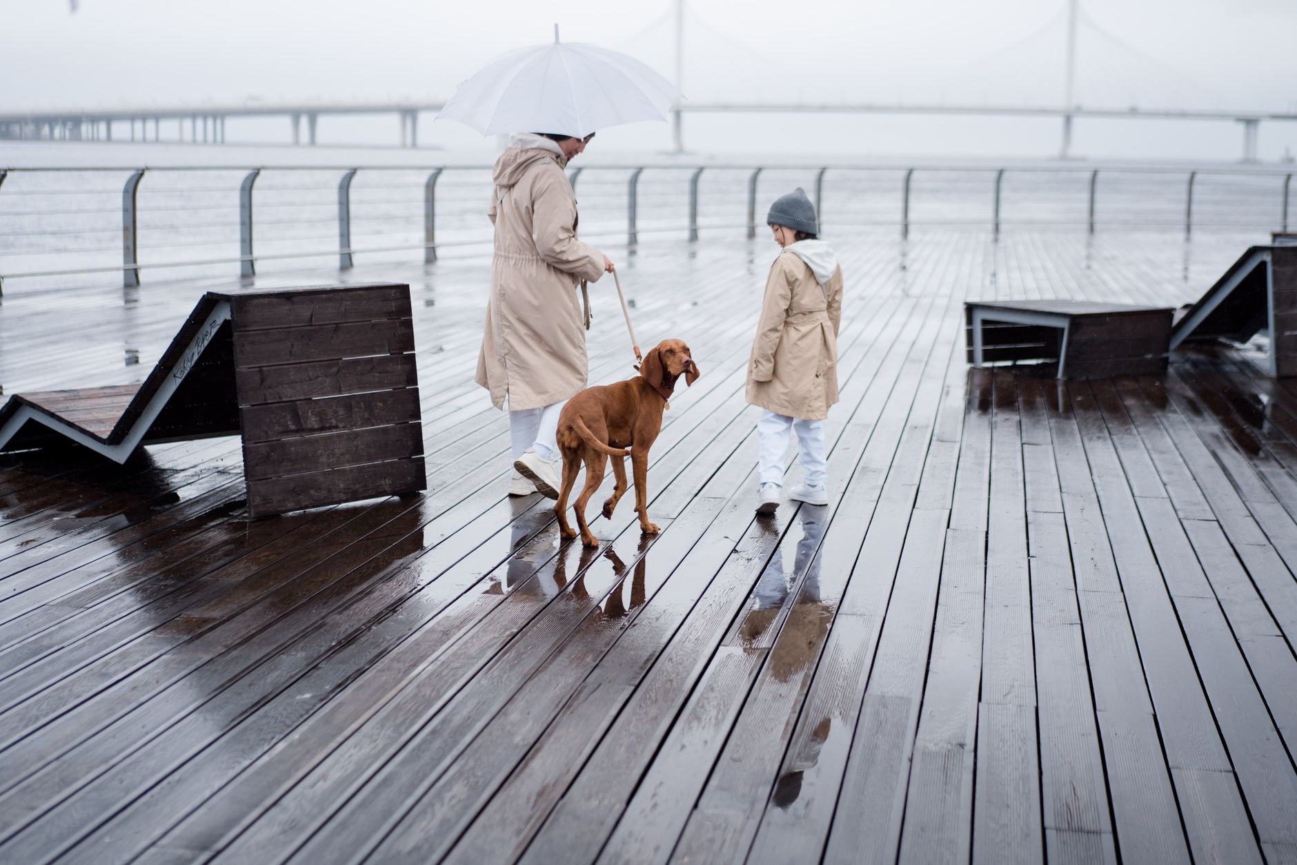 family walking dog past US customs and border protection sign airport