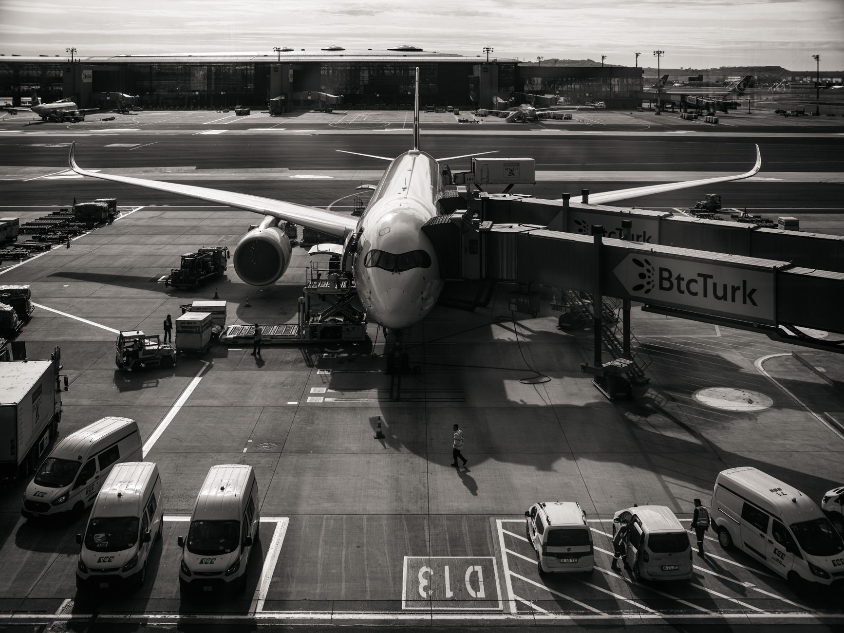 large dog crate on cargo airport tarmac
